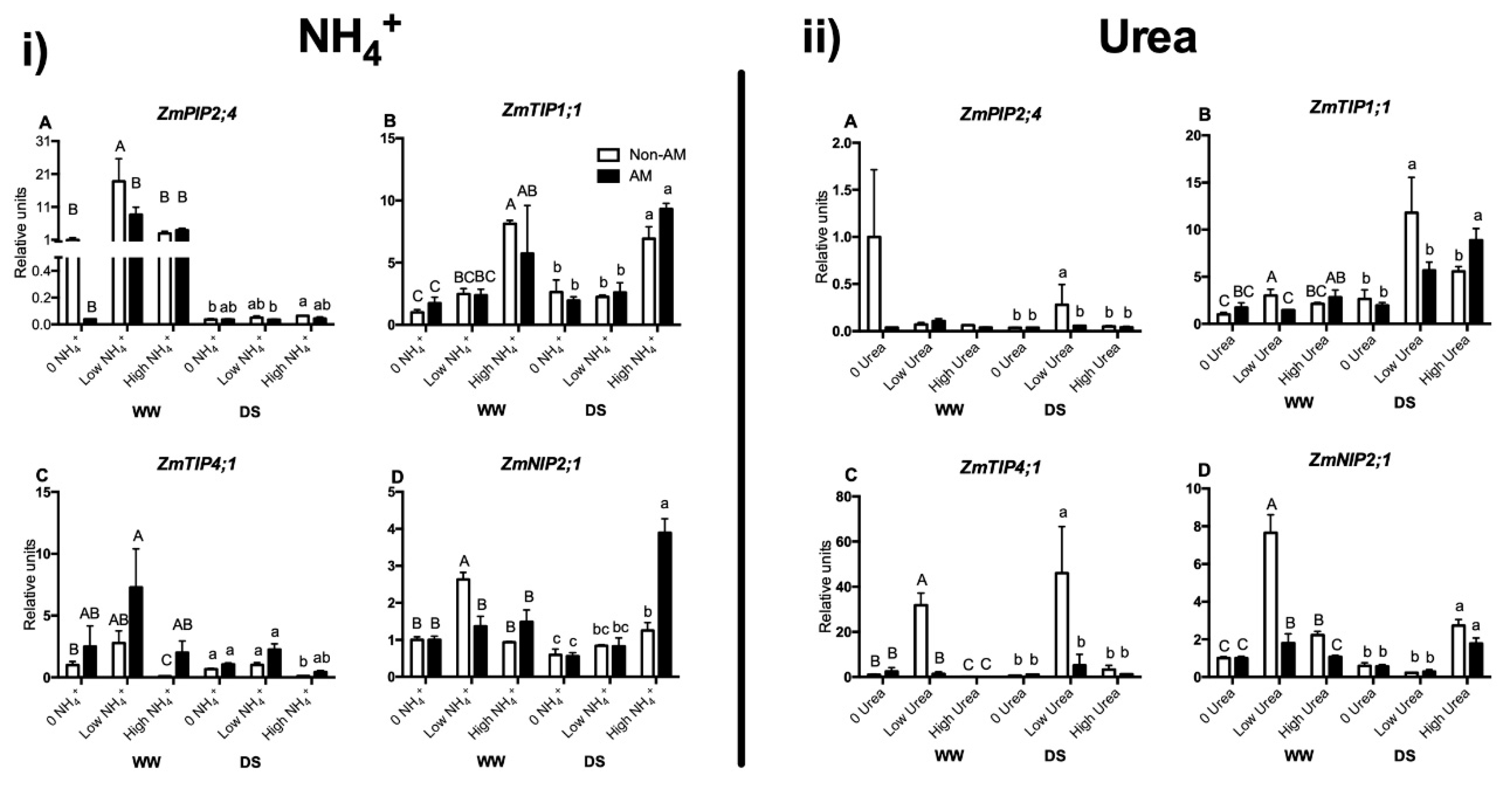 Plants 09 00148 g005 Plants 09 00148 g005