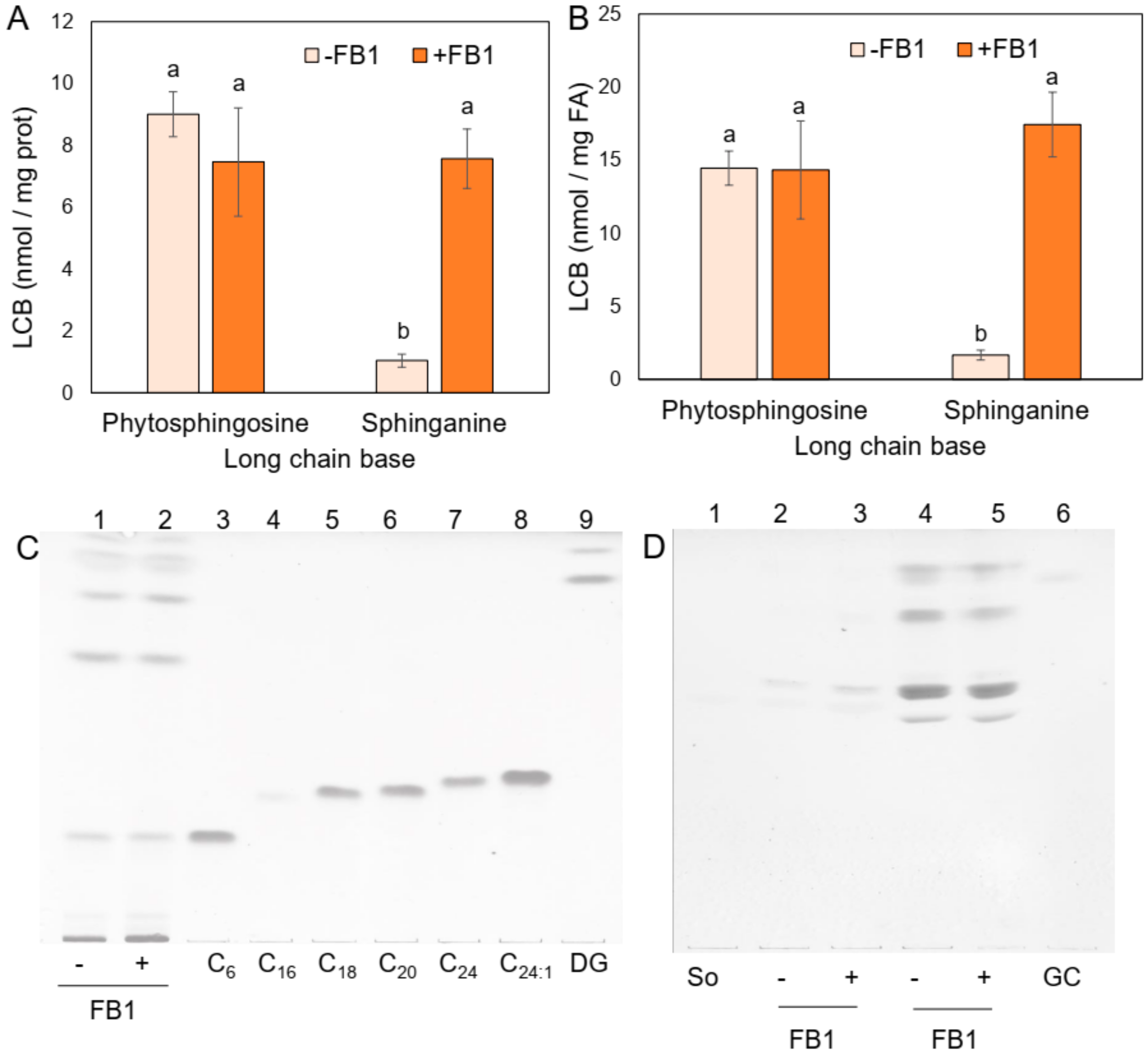 Plants 09 00150 g002
