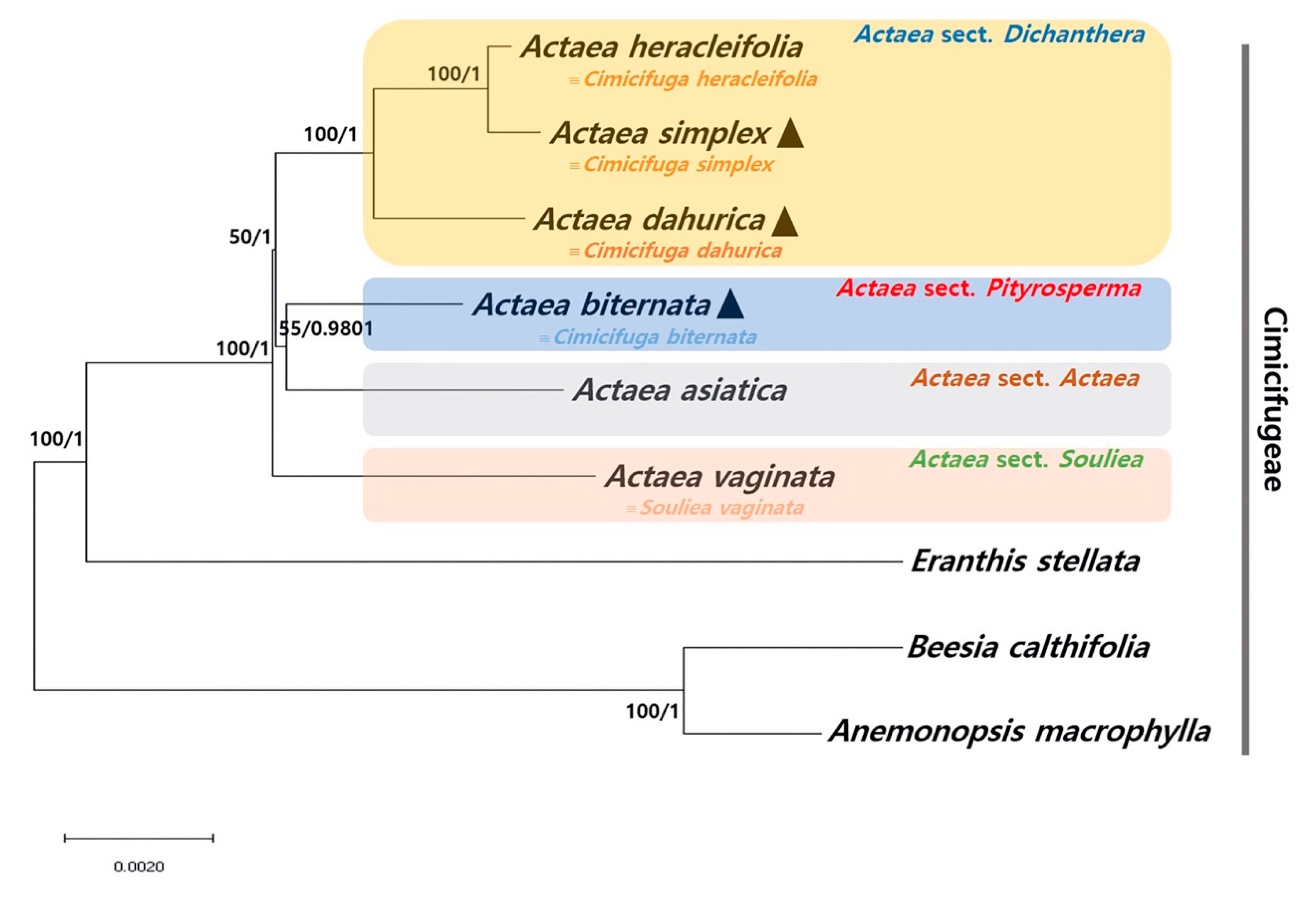 Plants 09 00157 g004