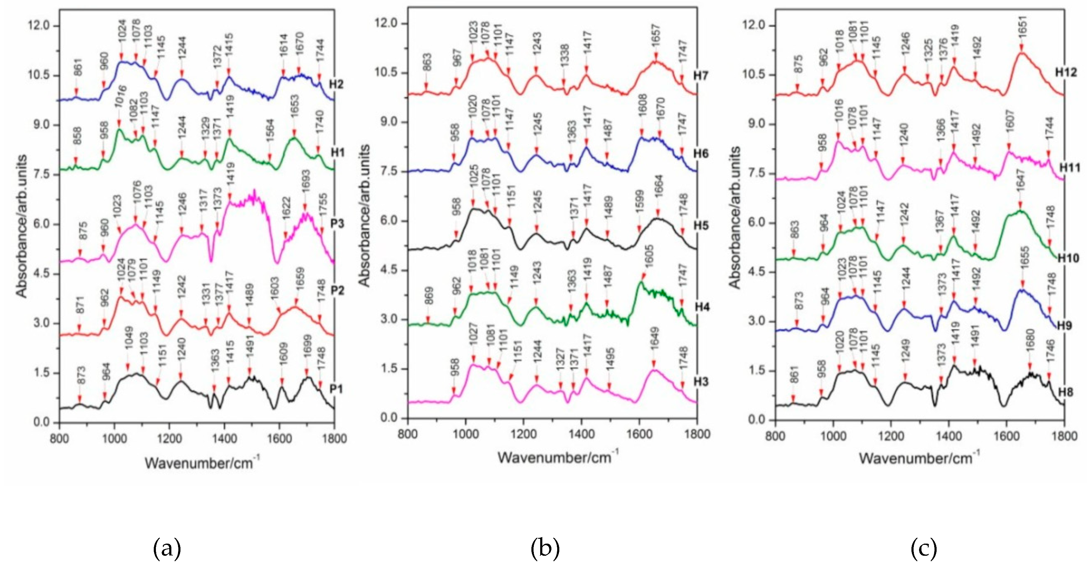 Plants 09 00160 g004