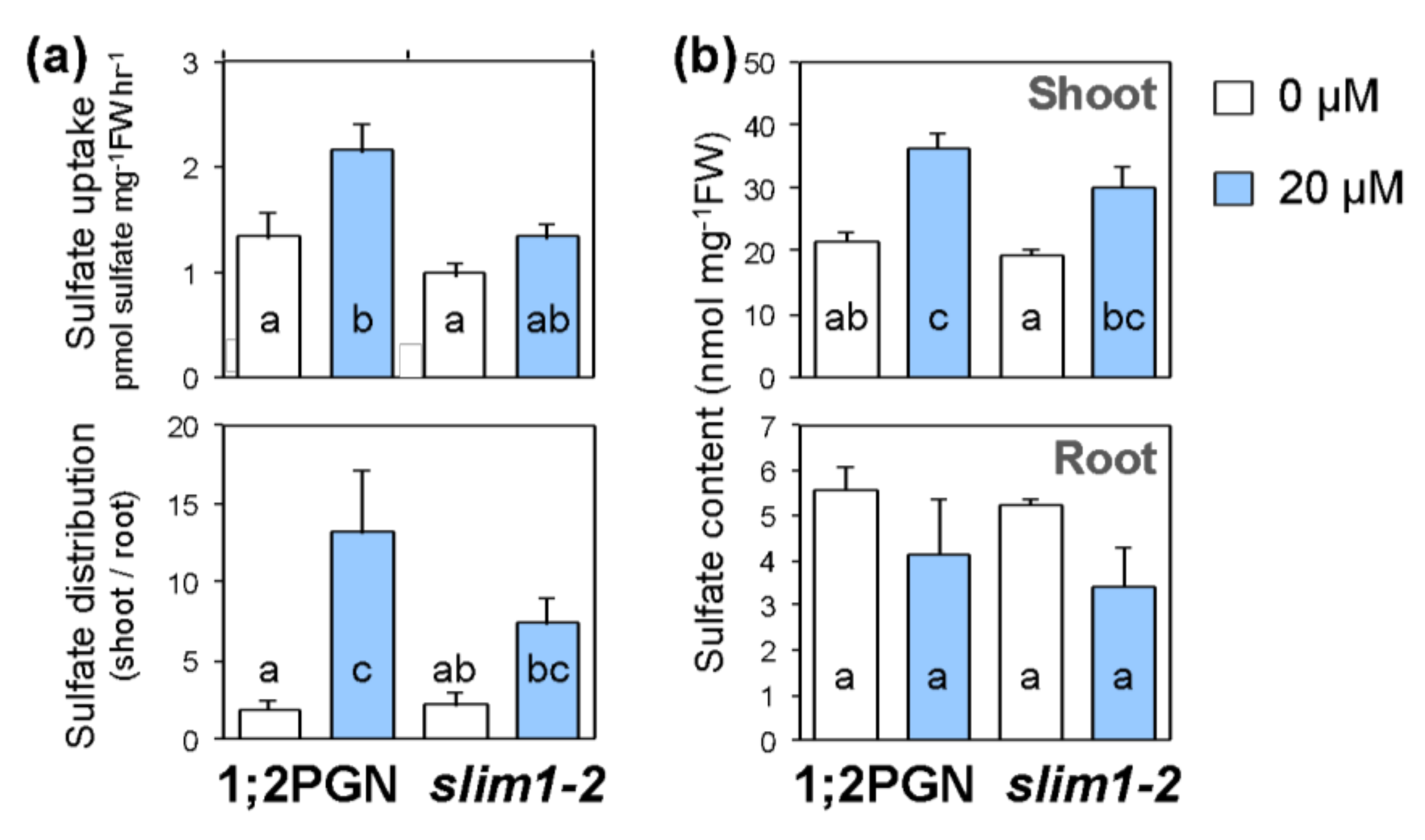 Plants 09 00163 g002 Plants 09 00163 g002