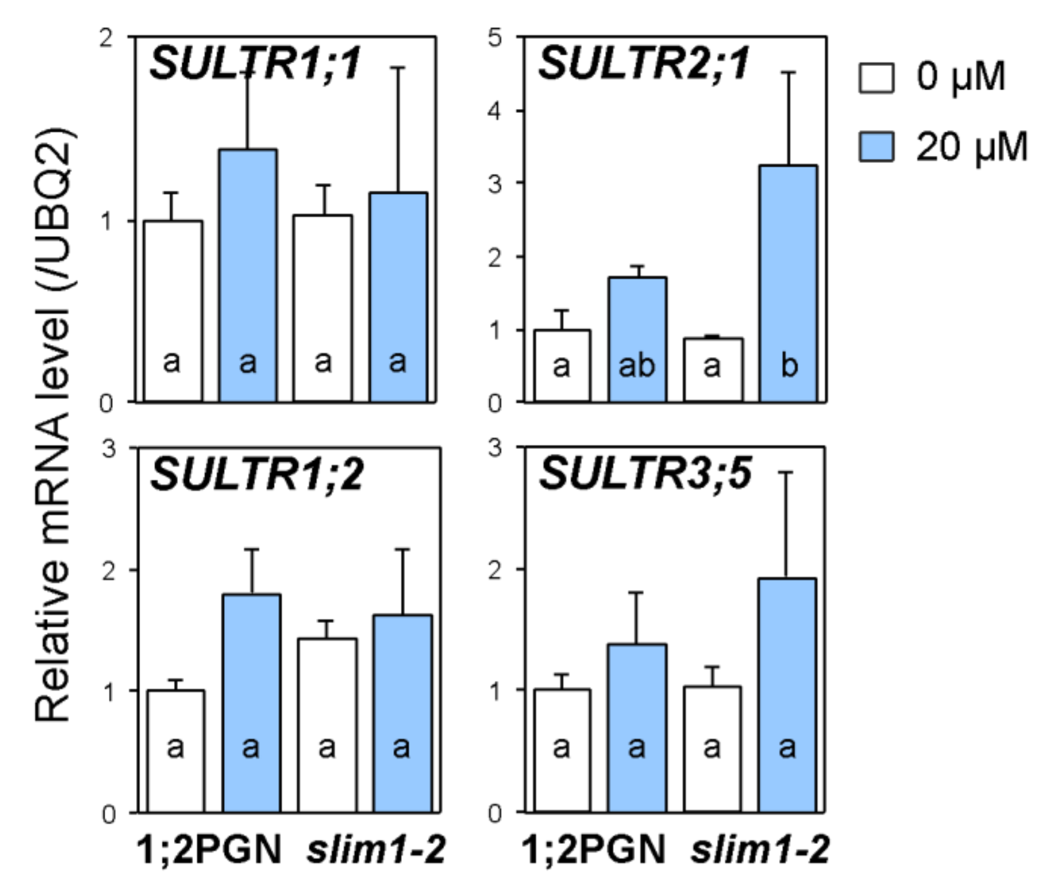Plants 09 00163 g003 Plants 09 00163 g003