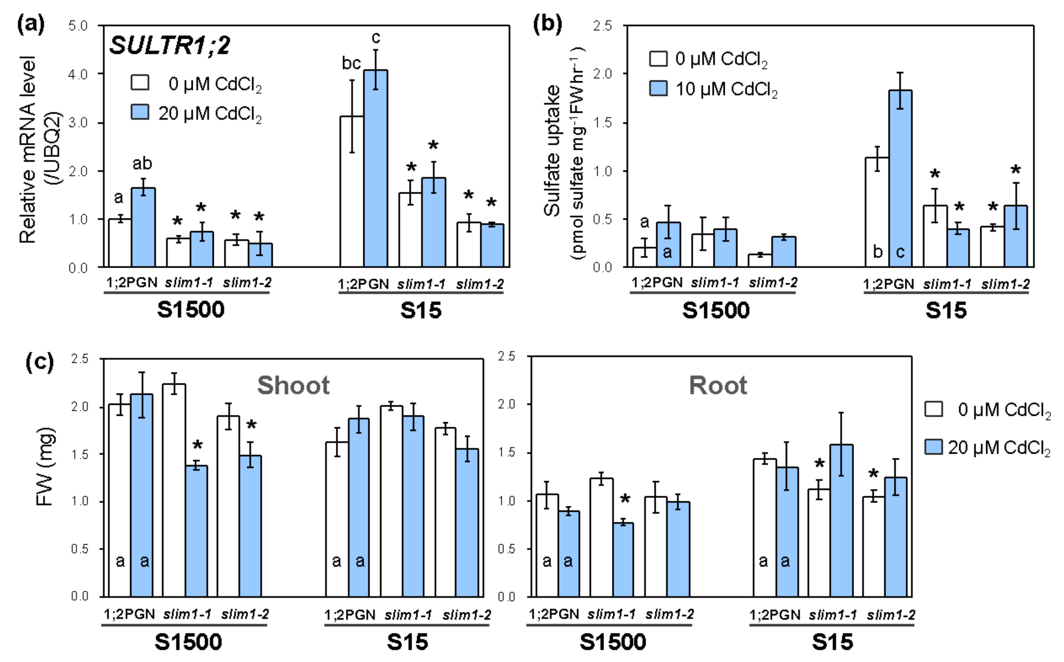 Plants 09 00163 g006 Plants 09 00163 g006