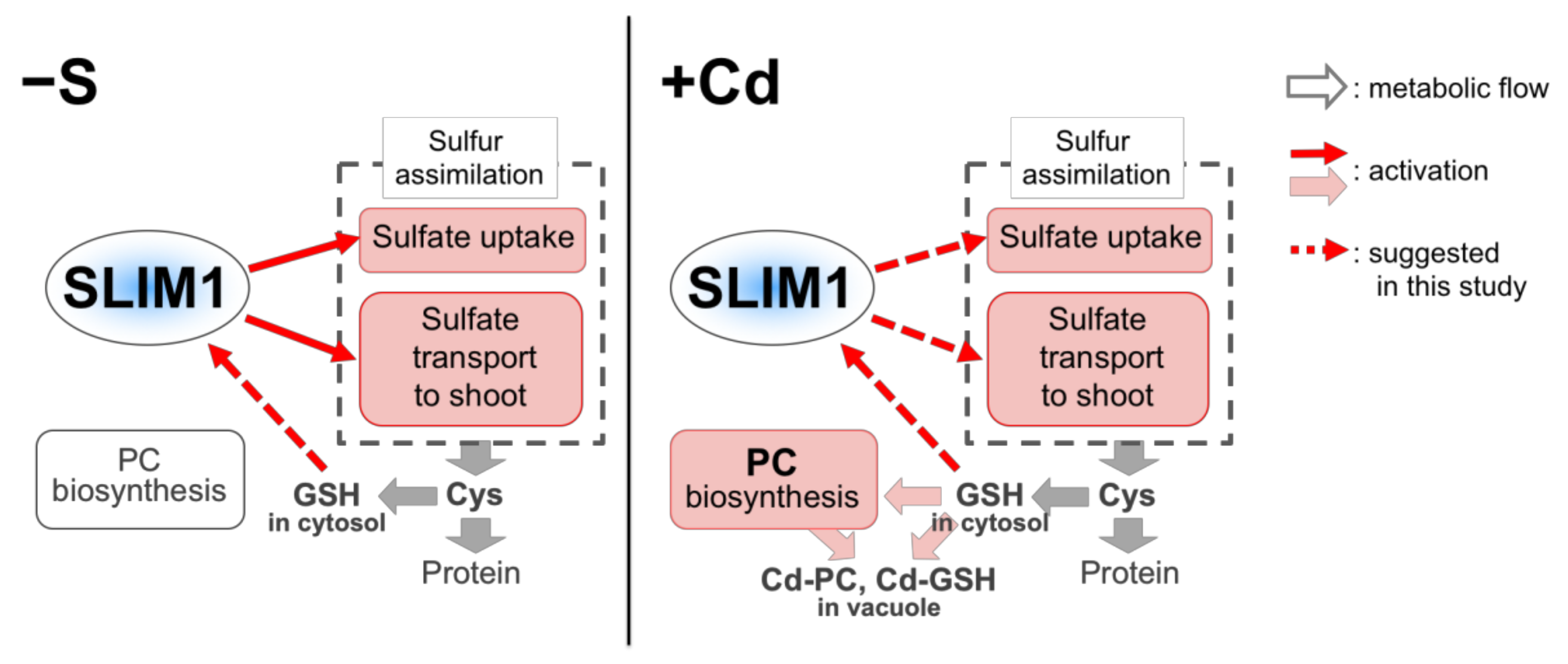 Plants 09 00163 g008 Plants 09 00163 g008