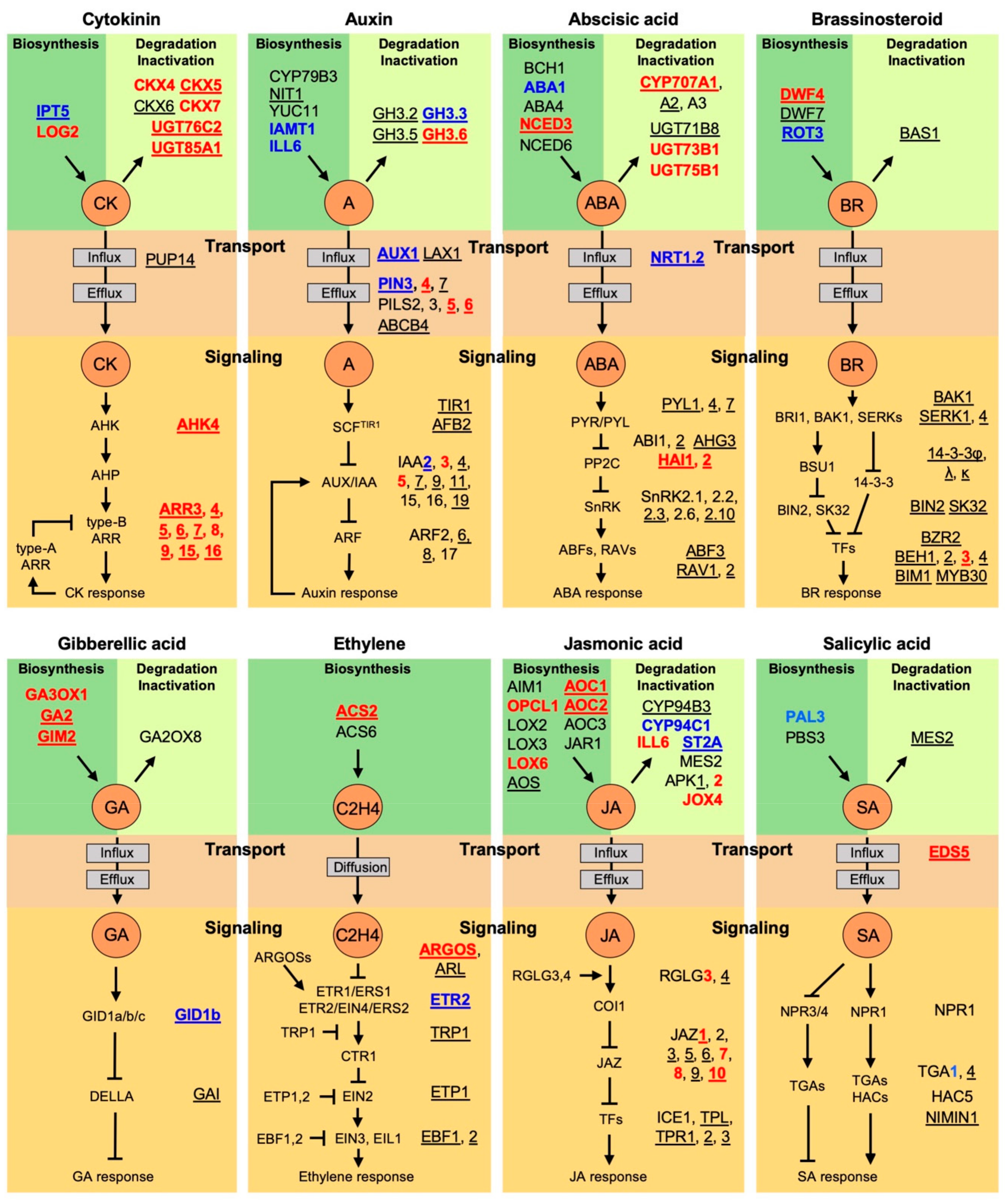 Plants 09 00166 g002