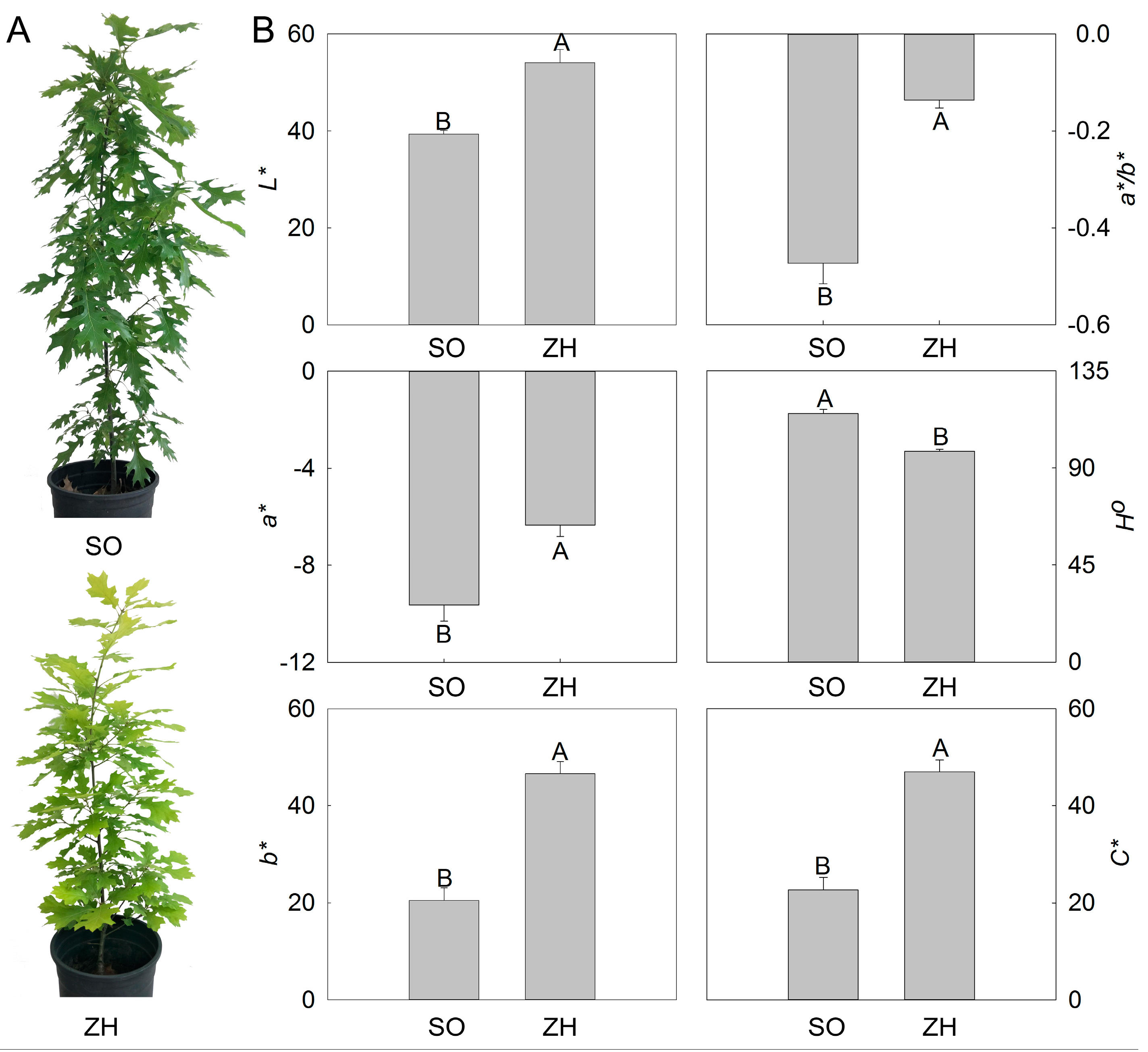 Plants 09 00169 g001