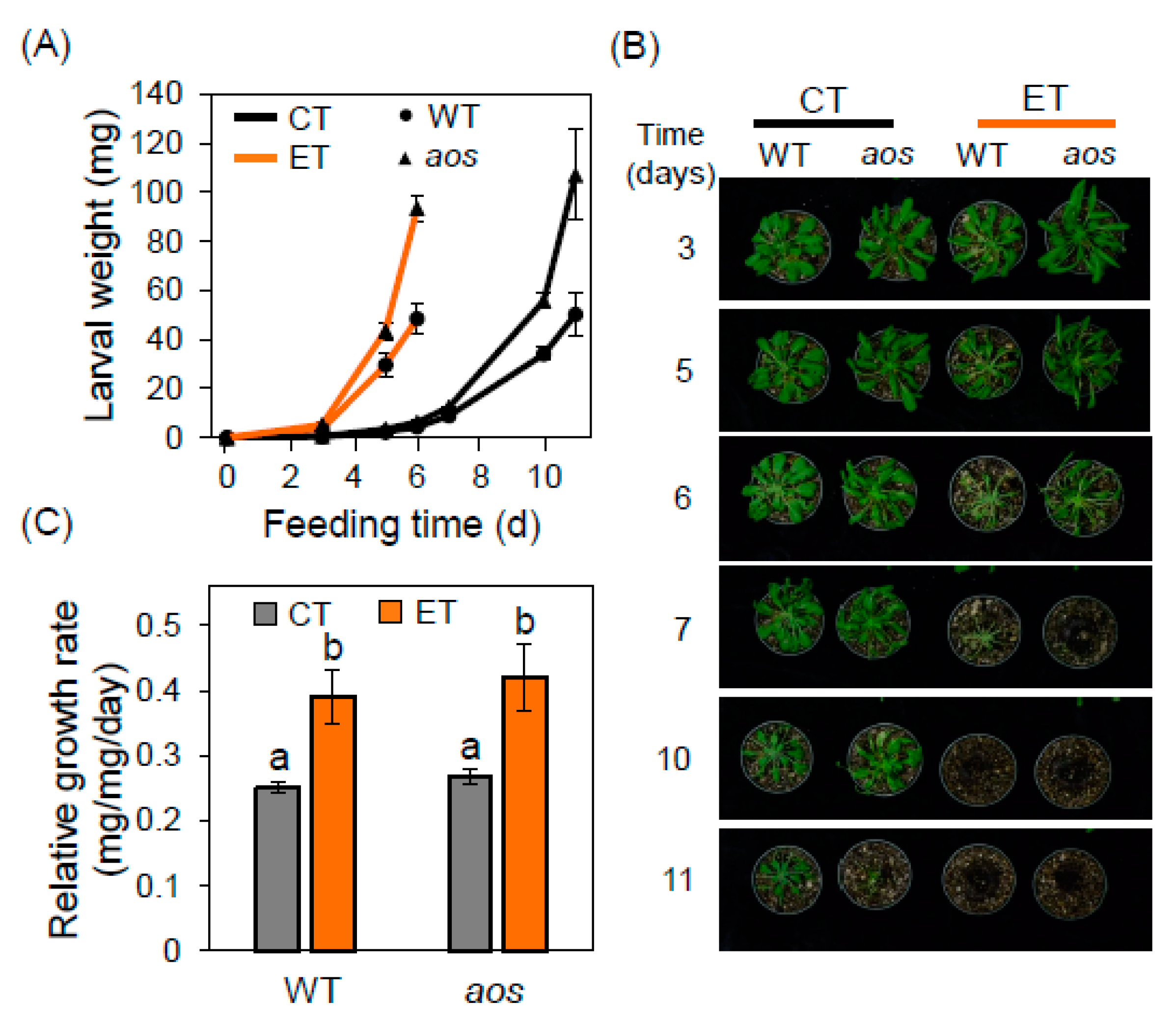 Plants 09 00172 g001 Plants 09 00172 g001