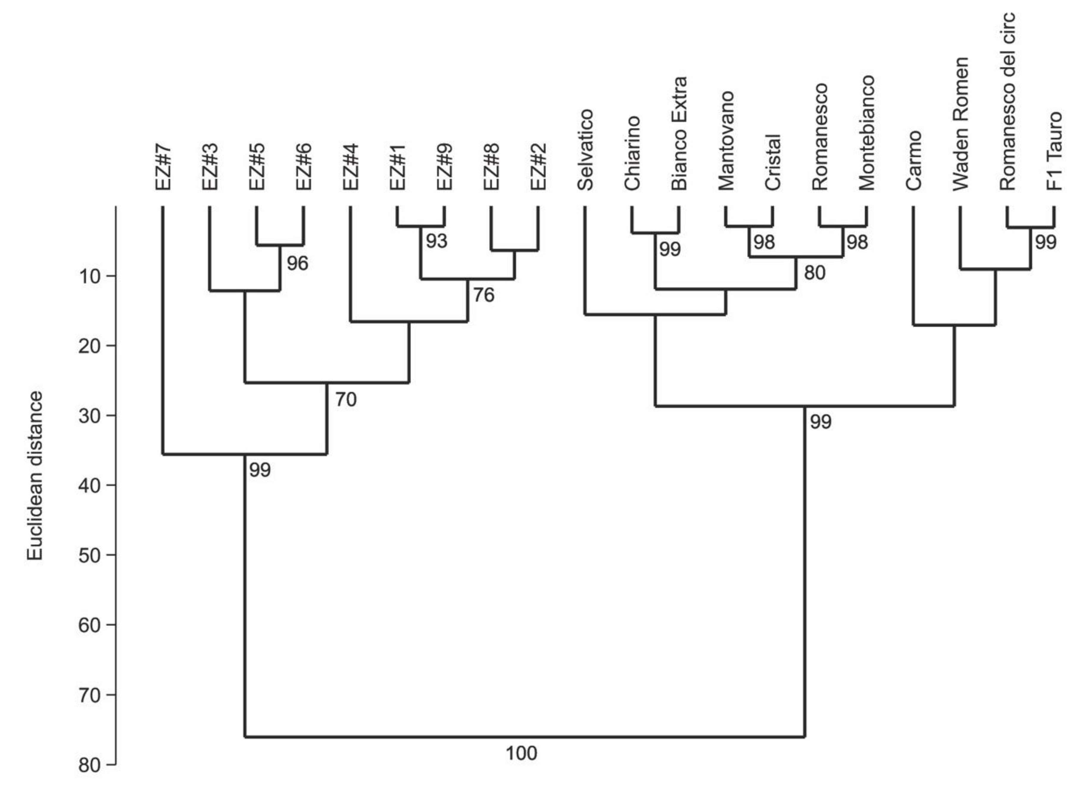 Plants 09 00175 g002