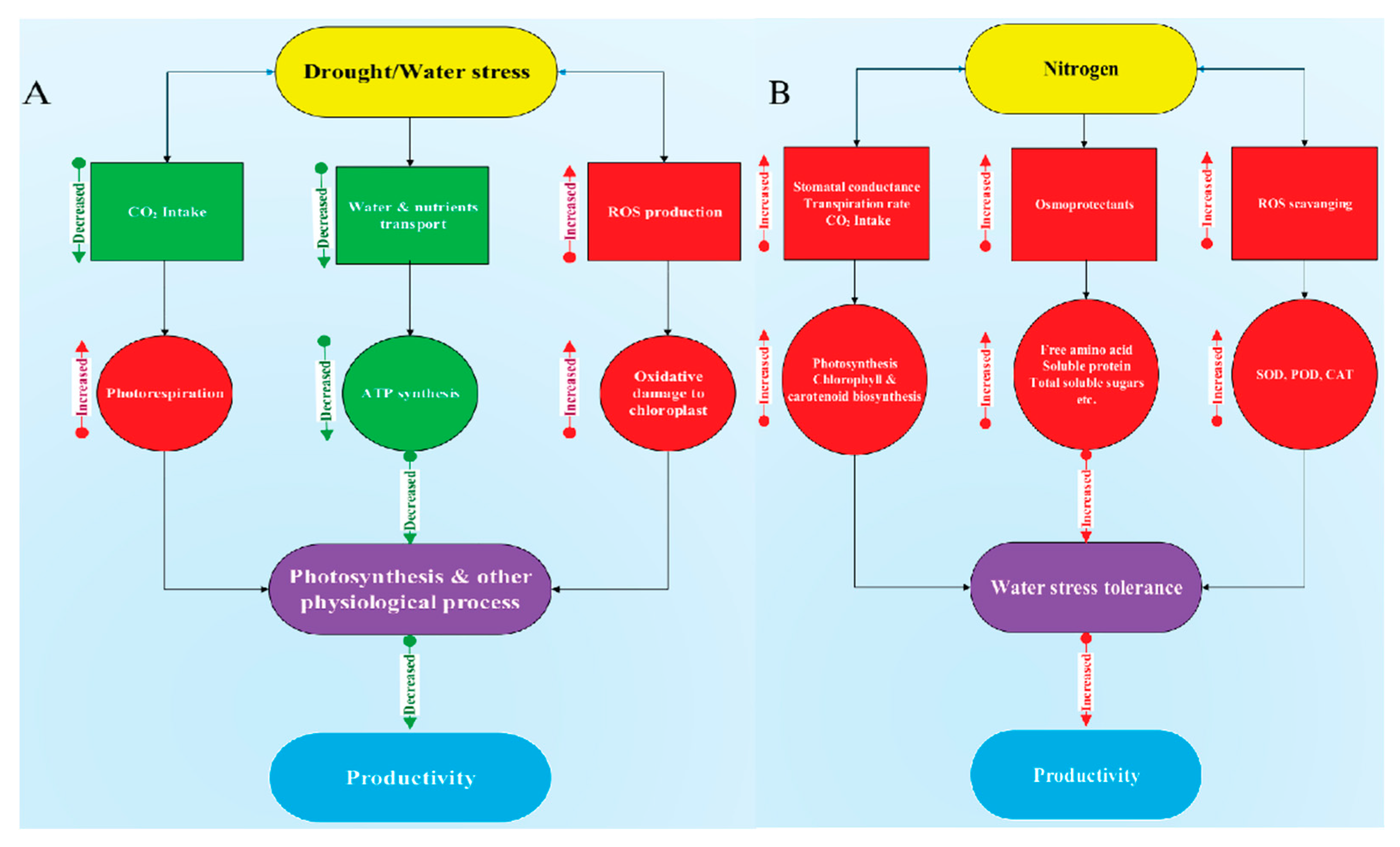 Plants 09 00178 g014