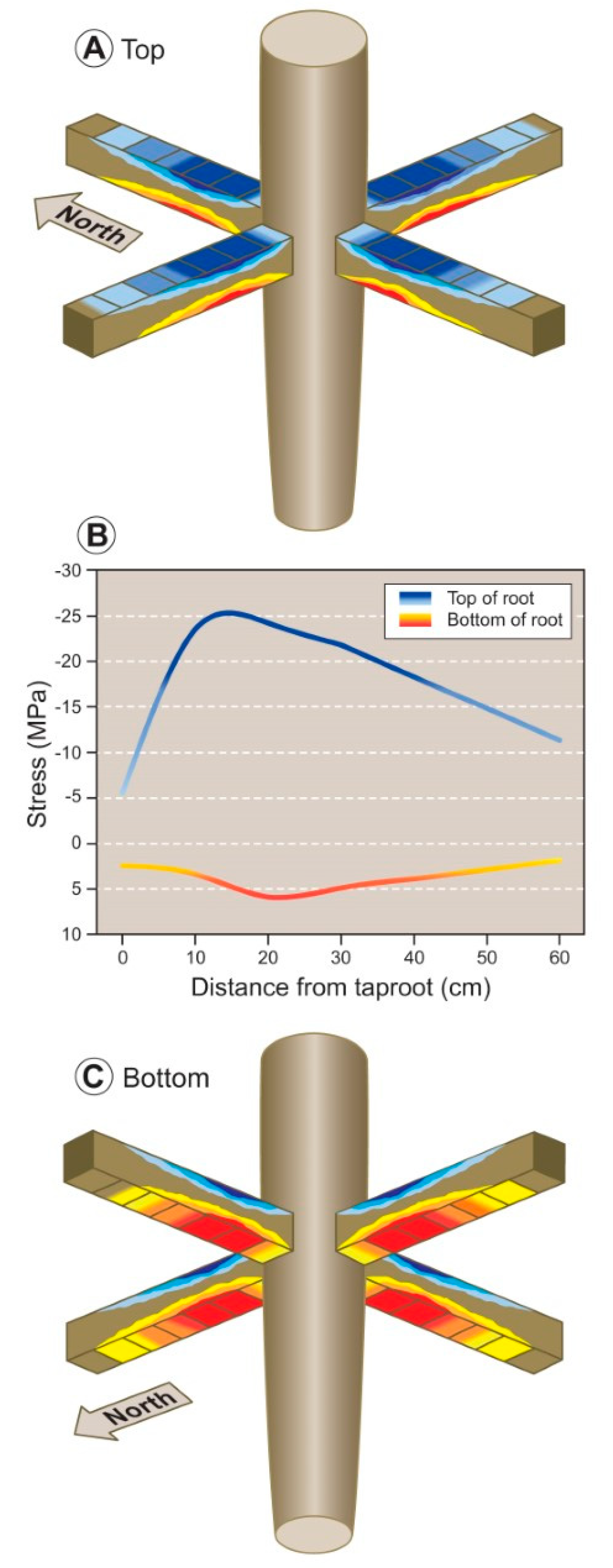 Plants 09 00181 g007