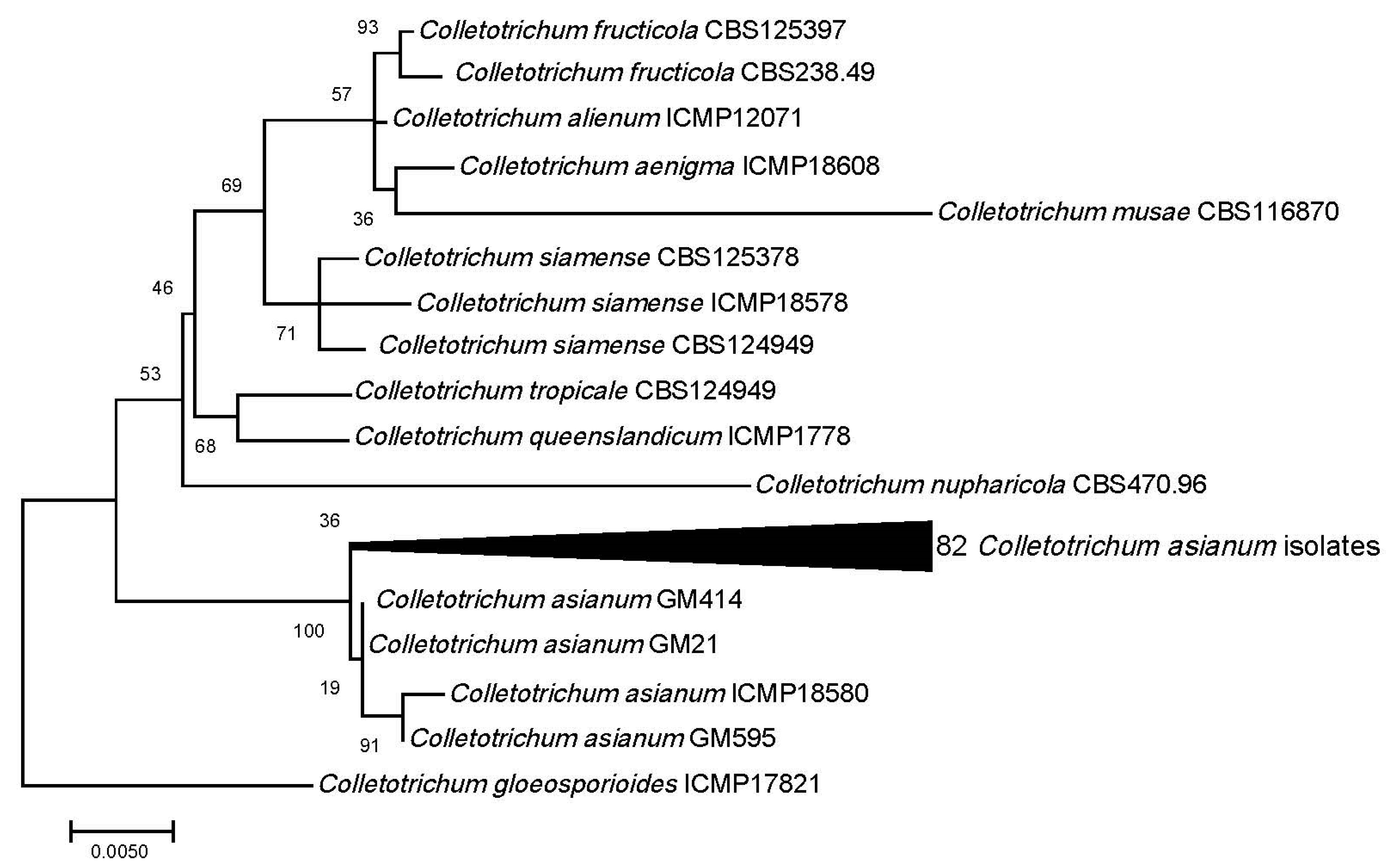 Plants 09 00182 g002