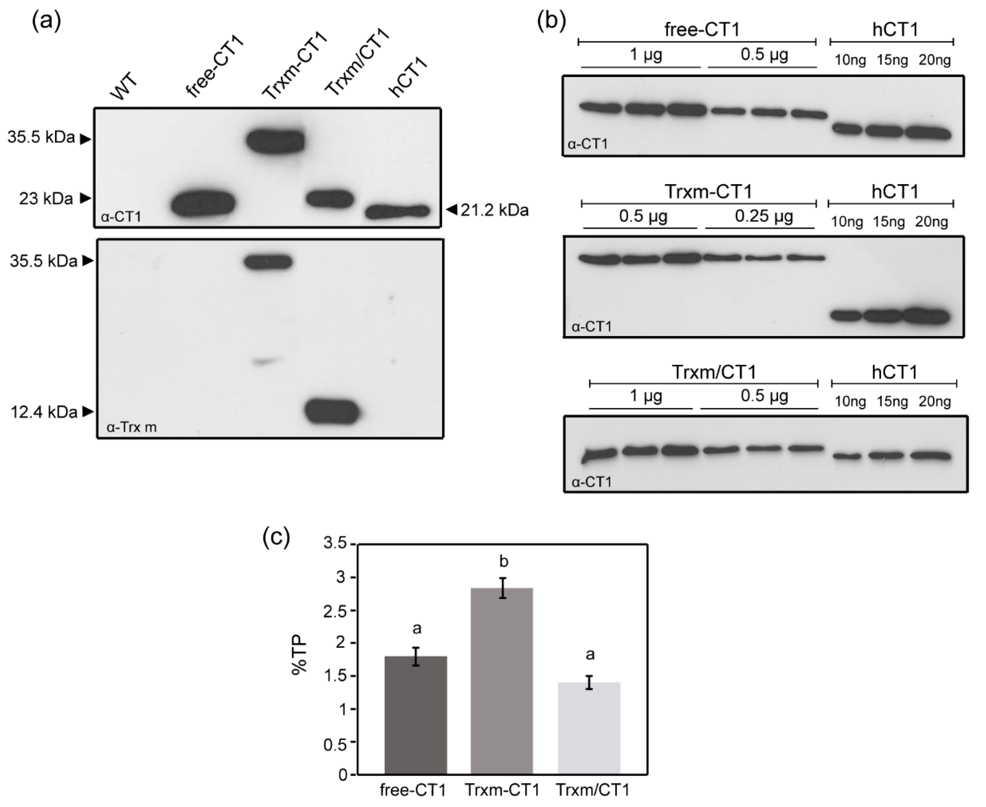 Plants 09 00183 g002