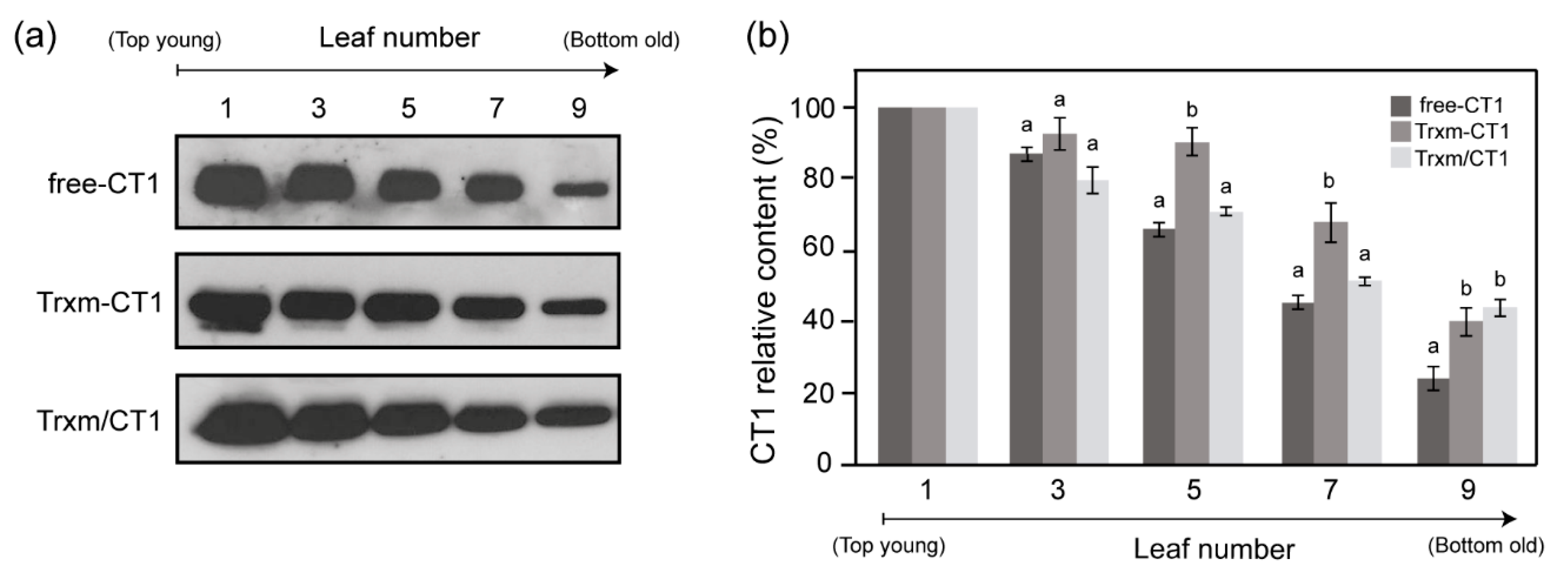 Plants 09 00183 g004