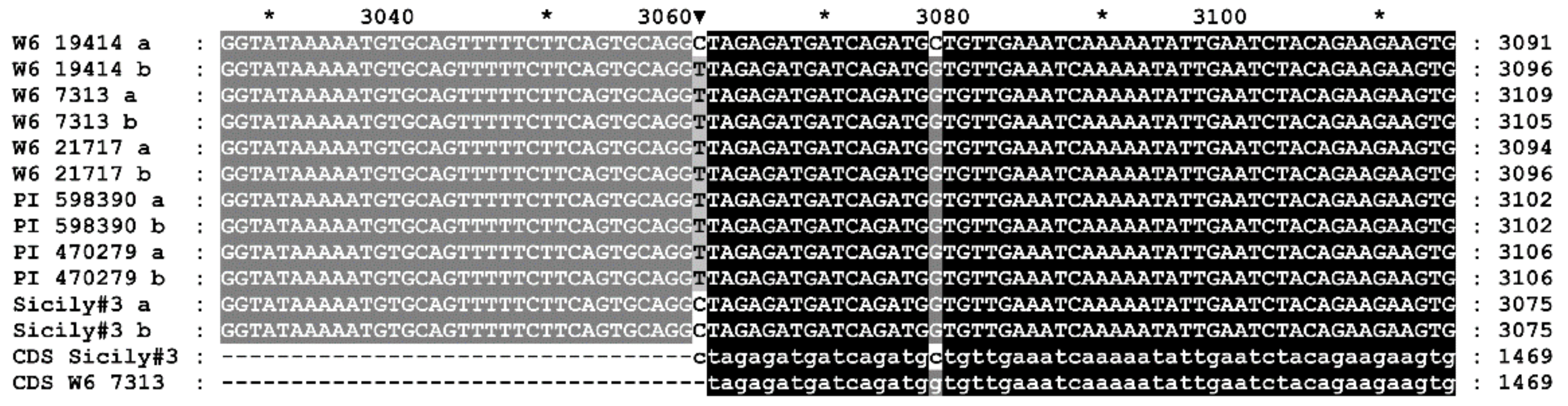 Plants 09 00186 g001