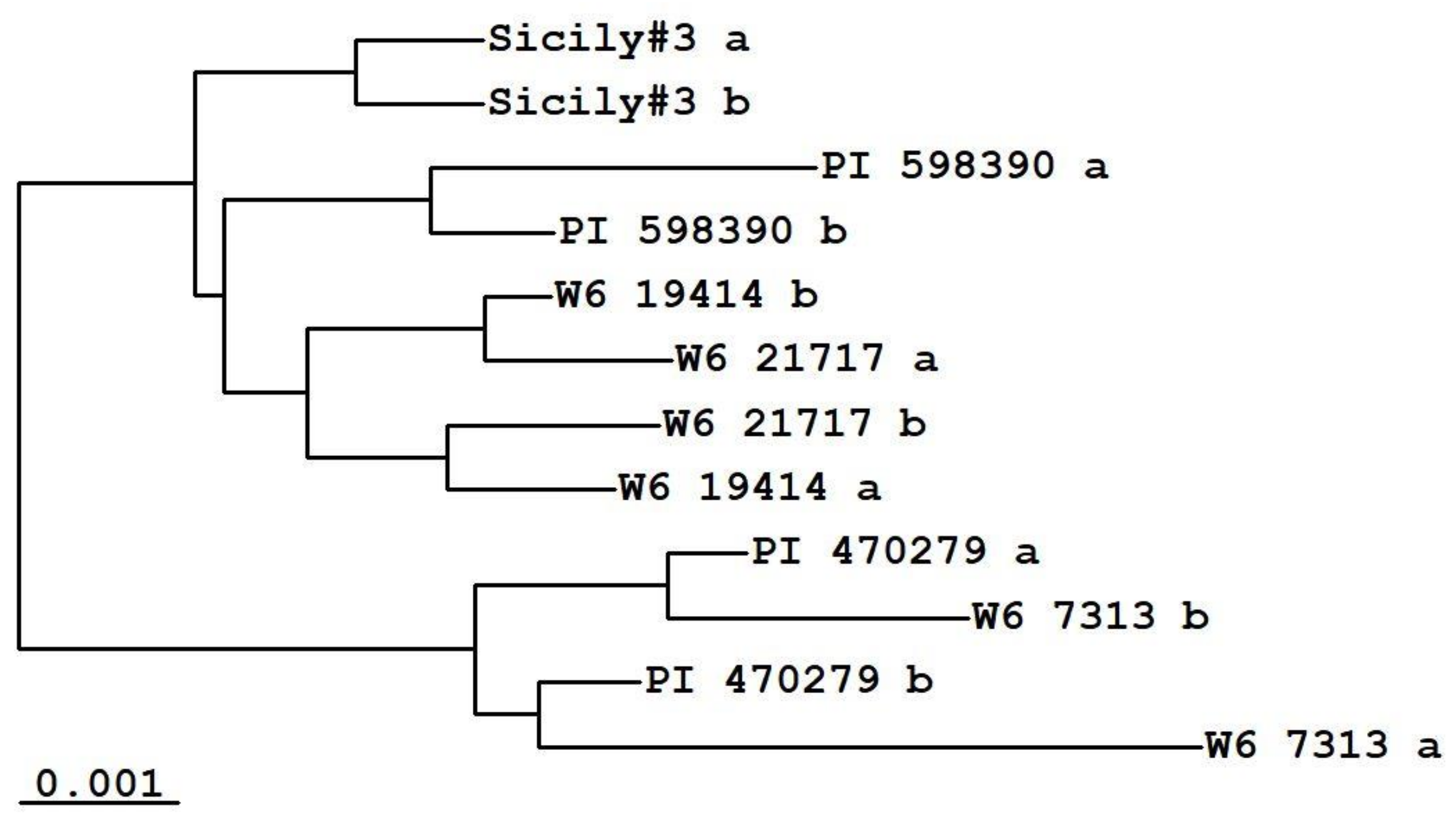 Plants 09 00186 g002