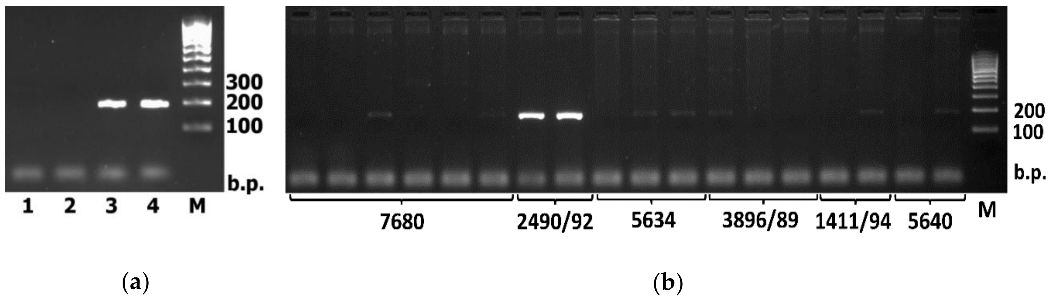 Plants 09 00186 g003