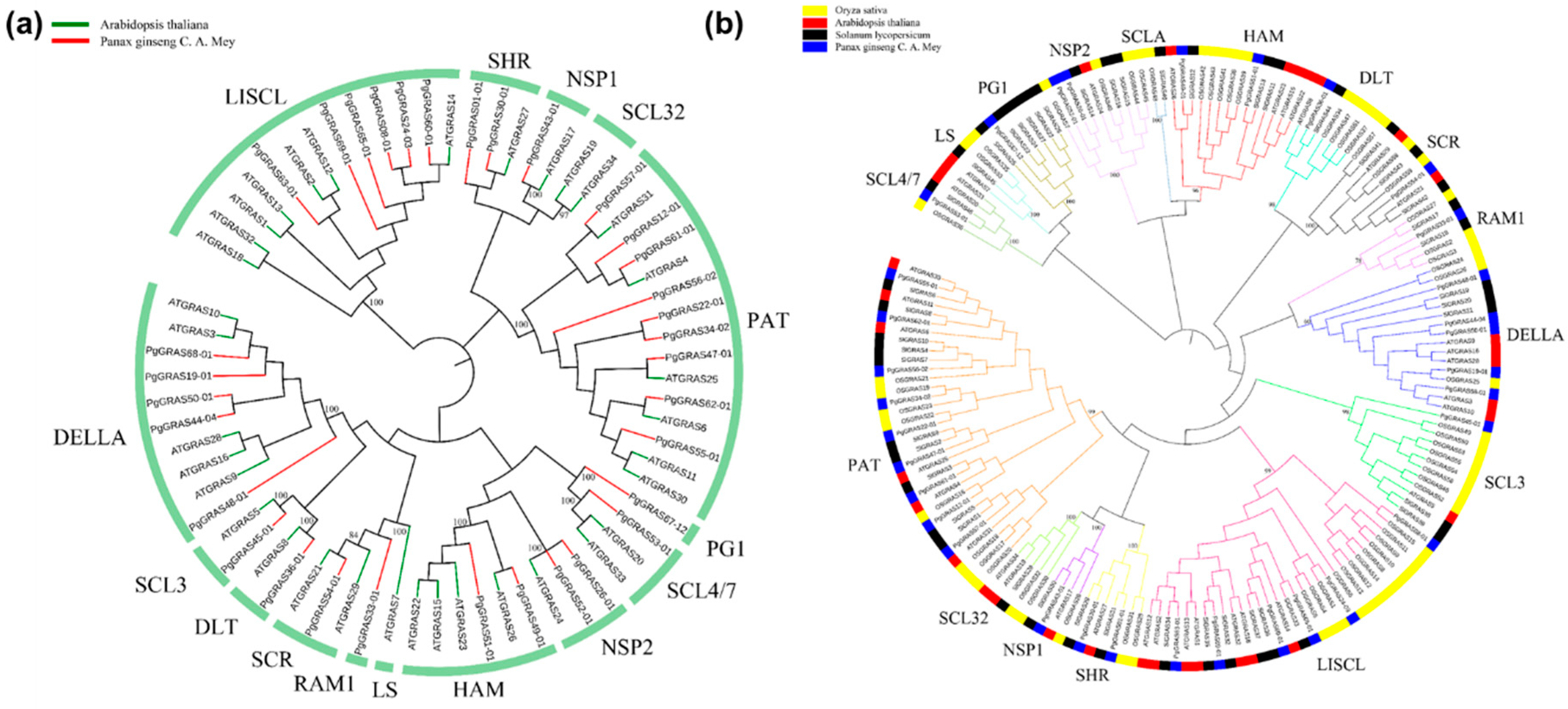 Plants 09 00190 g002