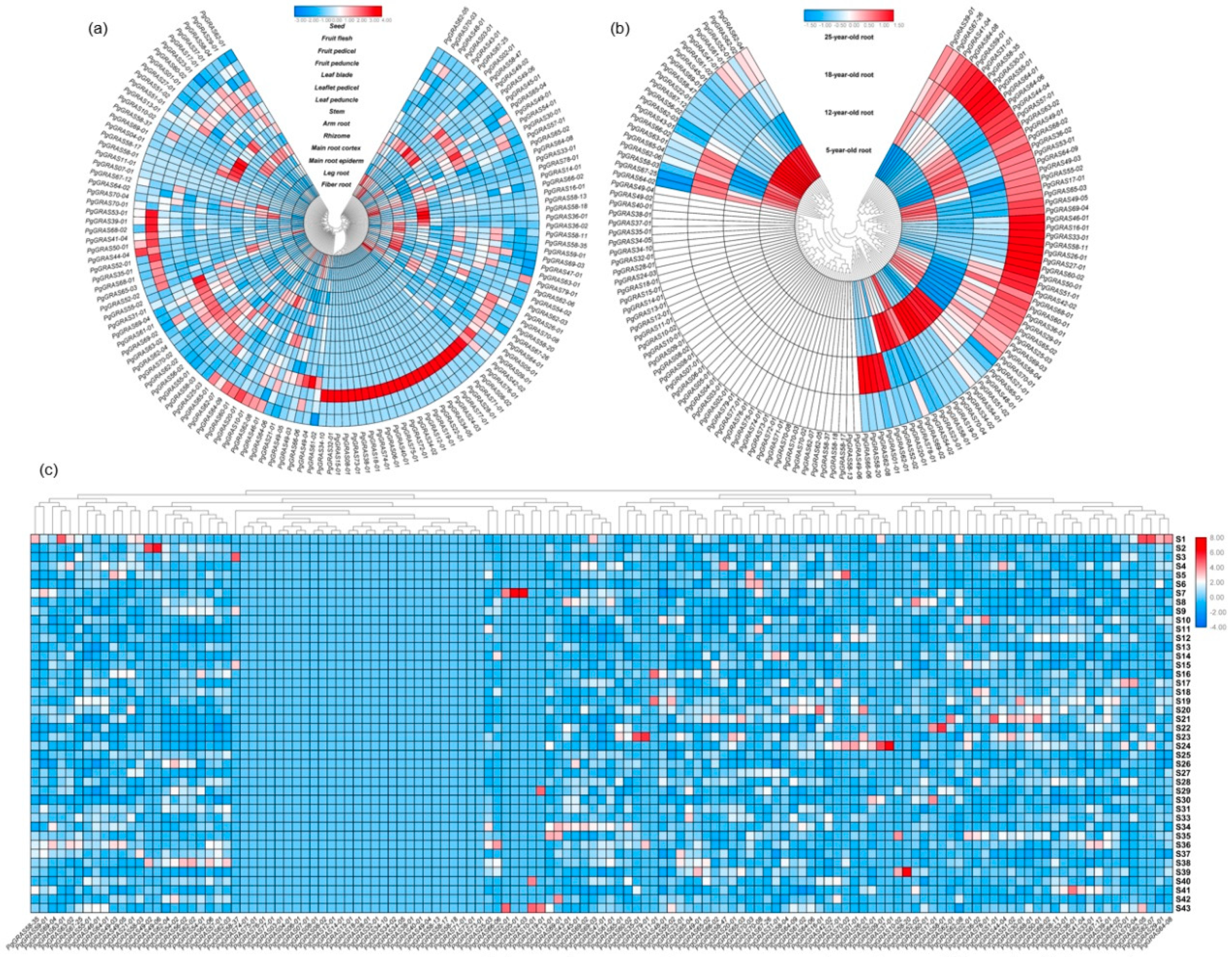 Plants 09 00190 g004