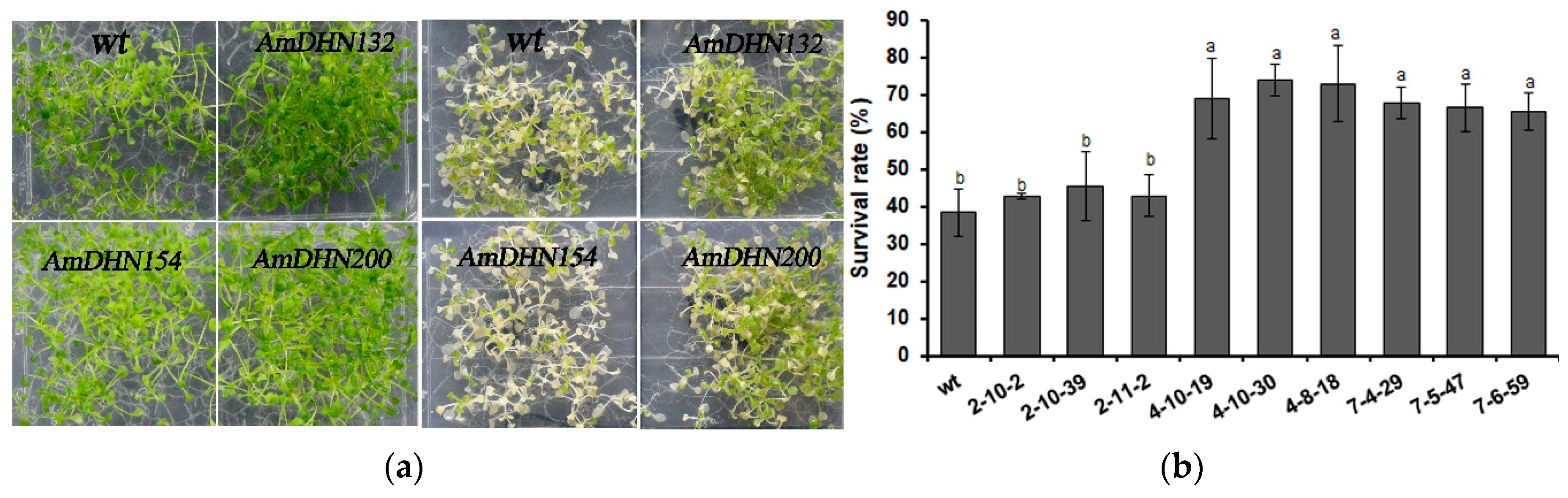 Plants 09 00193 g007a