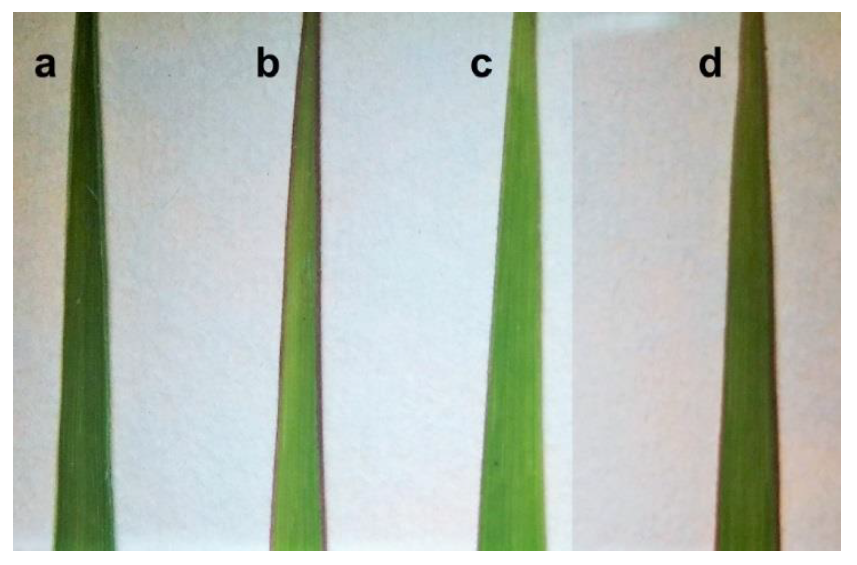 Plants 09 00194 g006