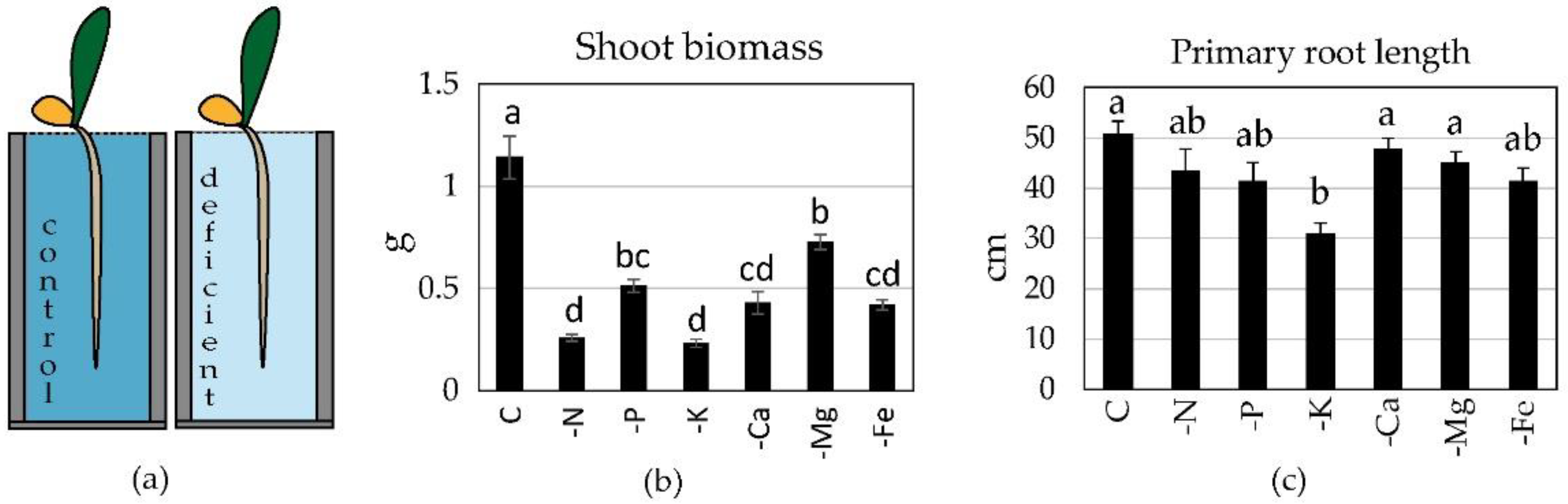 Plants 09 00201 g001