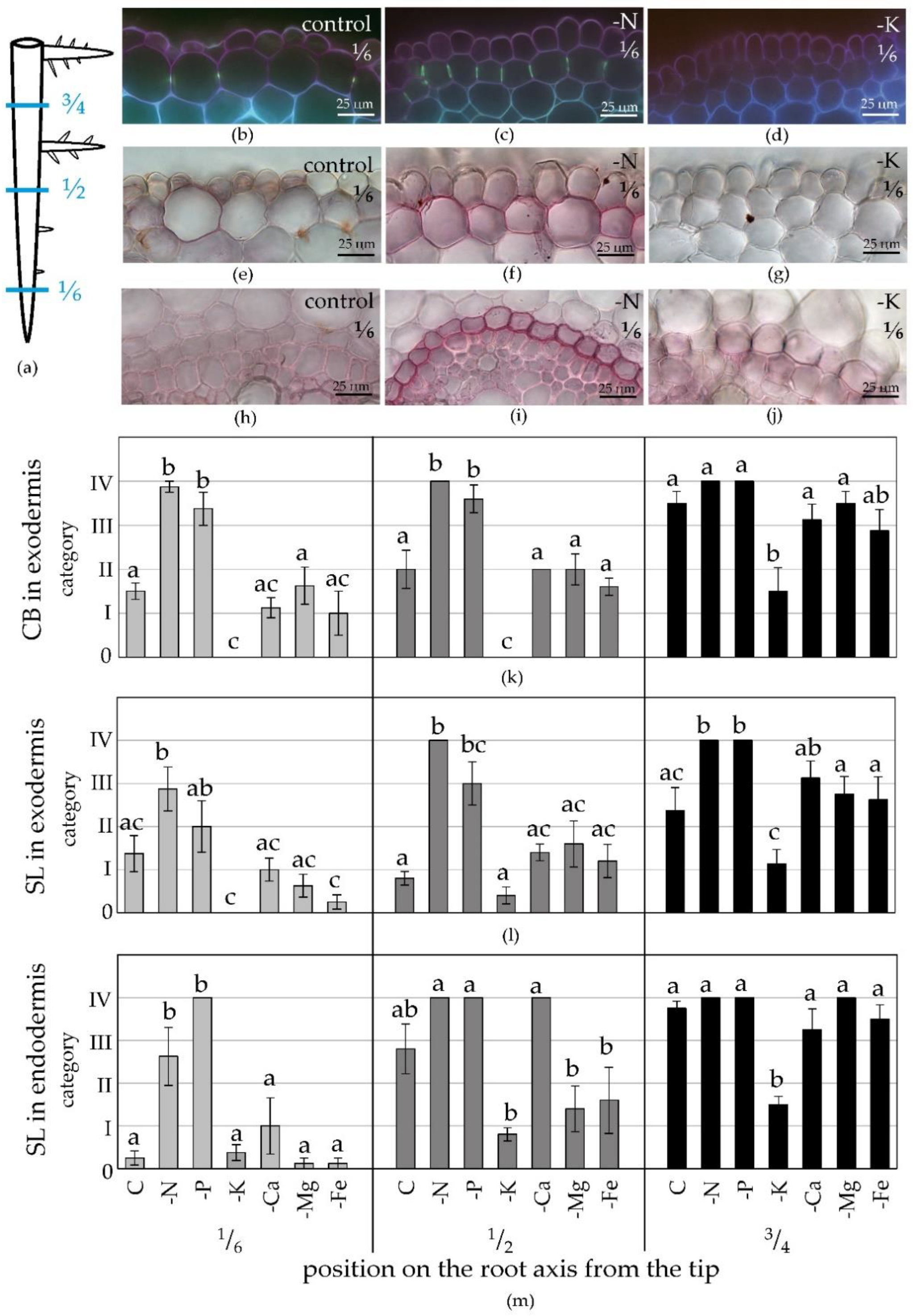 Plants 09 00201 g002