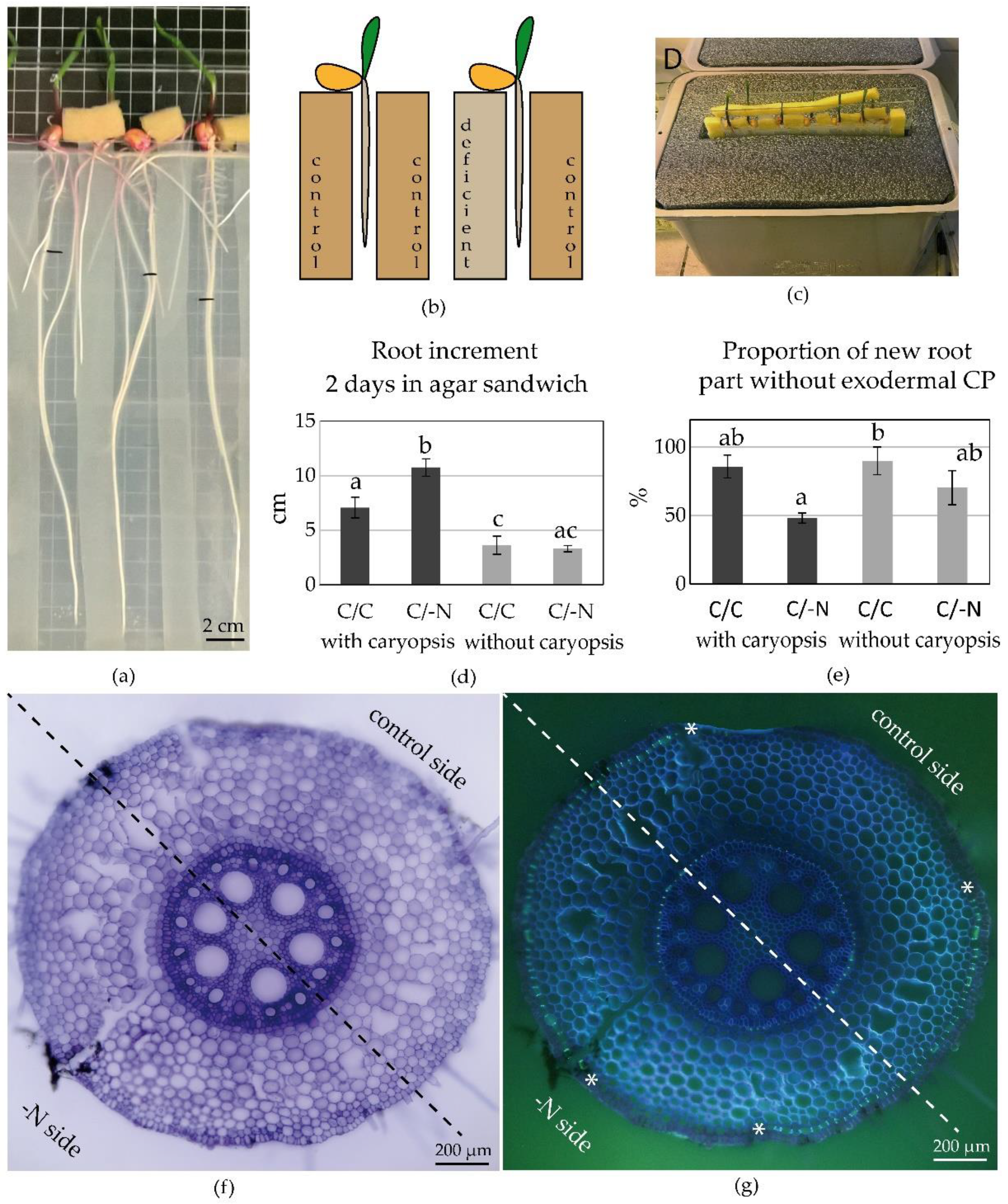 Plants 09 00201 g004
