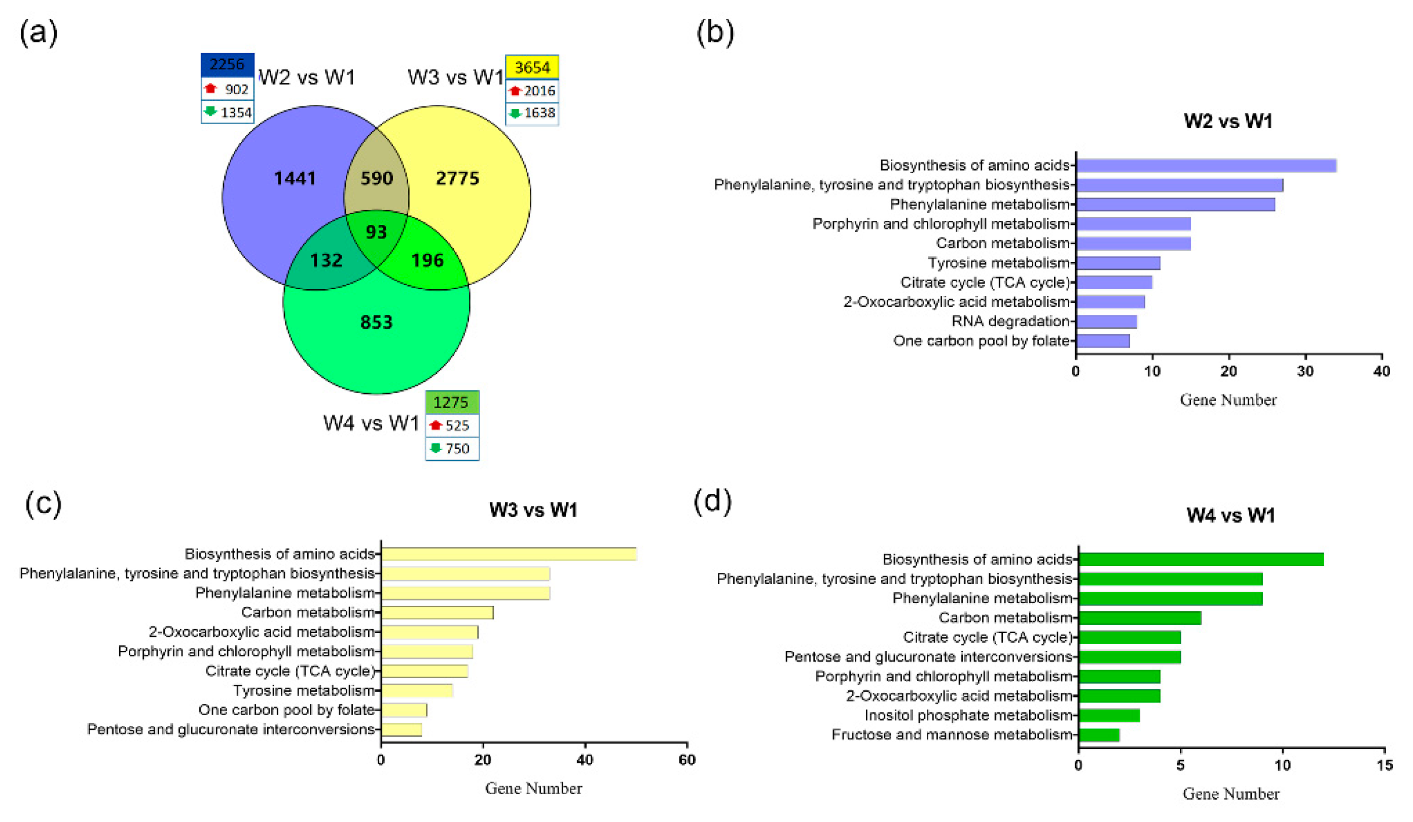 Plants 09 00204 g003