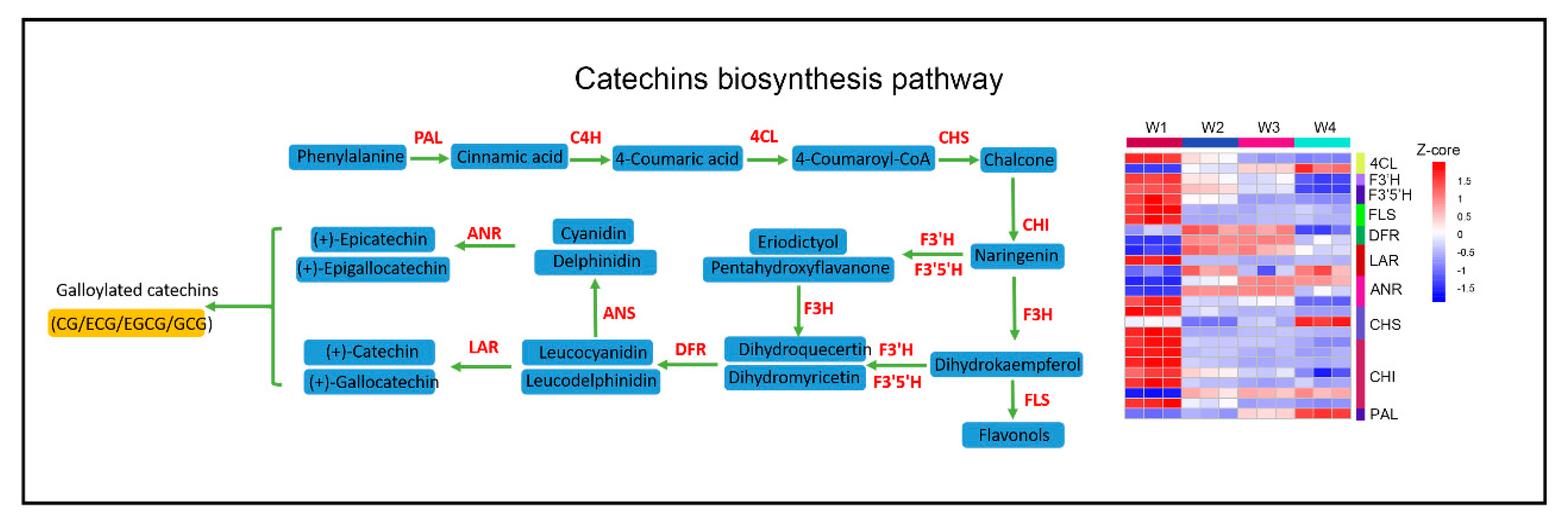 Plants 09 00204 g005