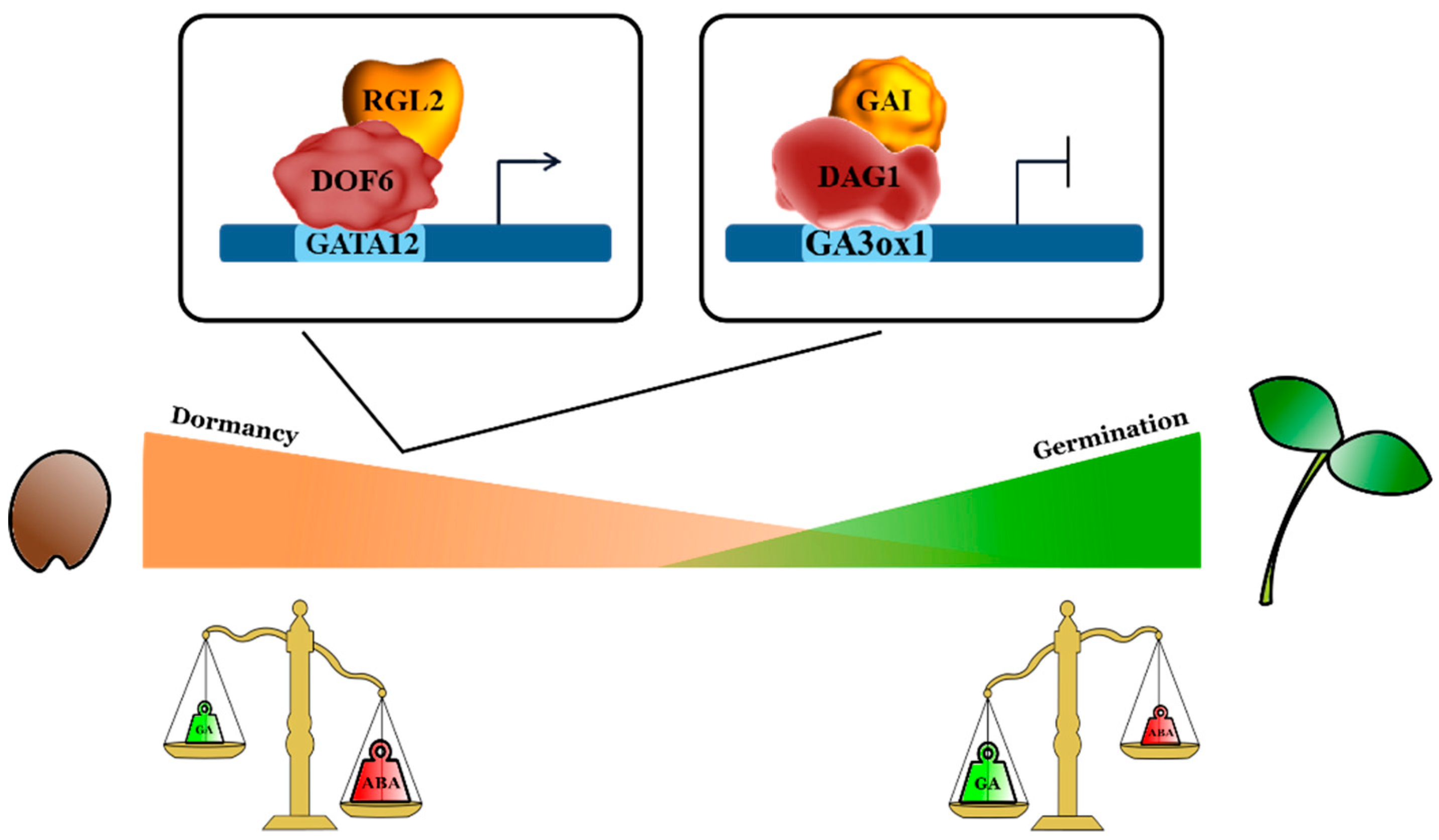 Plants 09 00218 g001