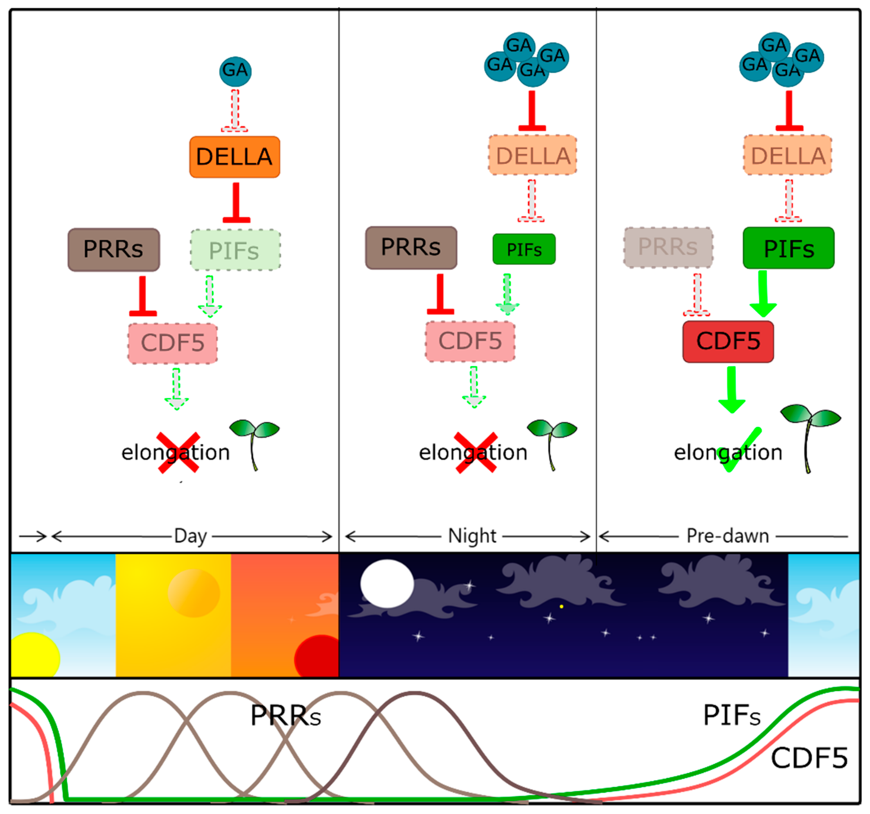 Plants 09 00218 g002