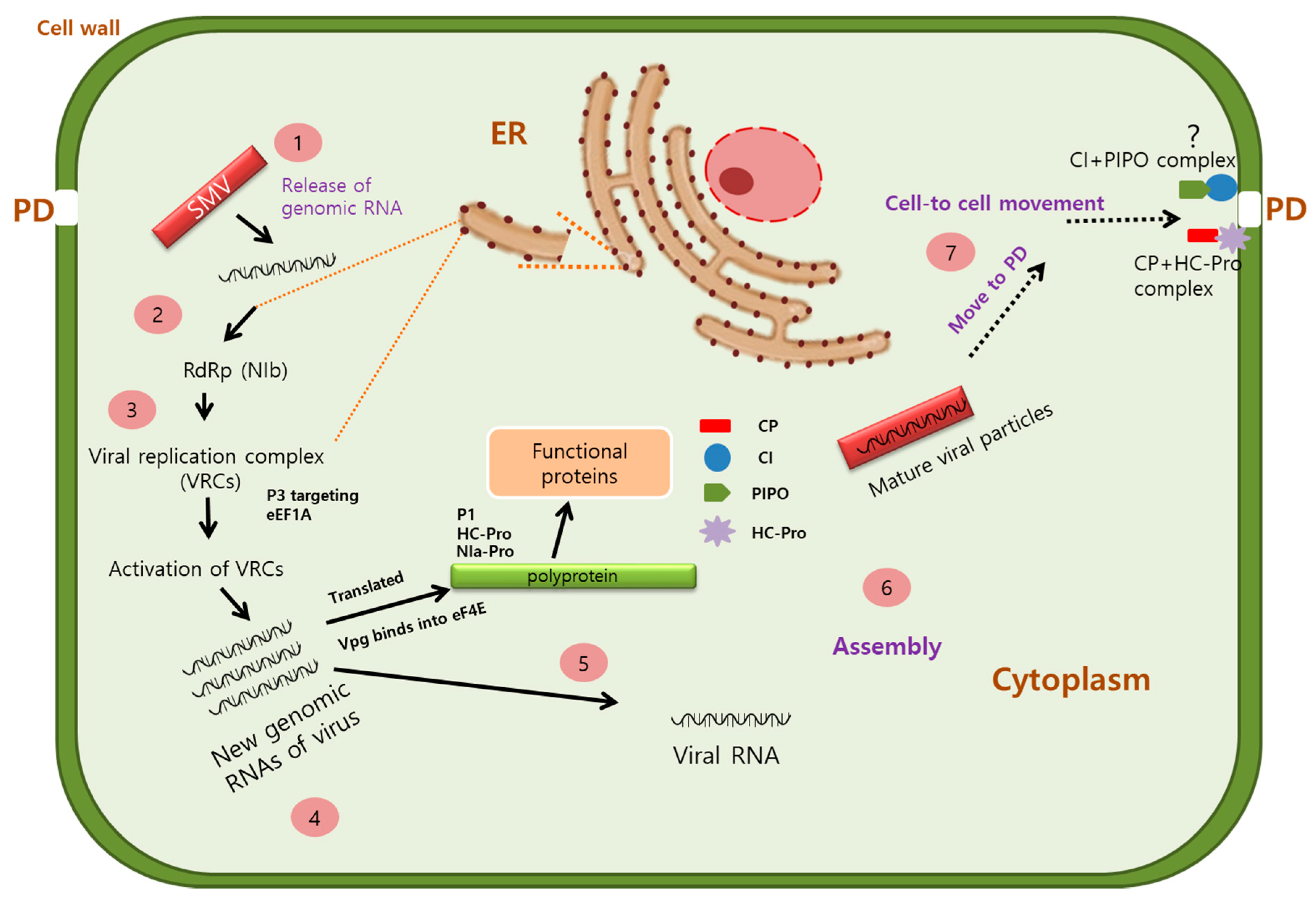 Plants 09 00219 g001
