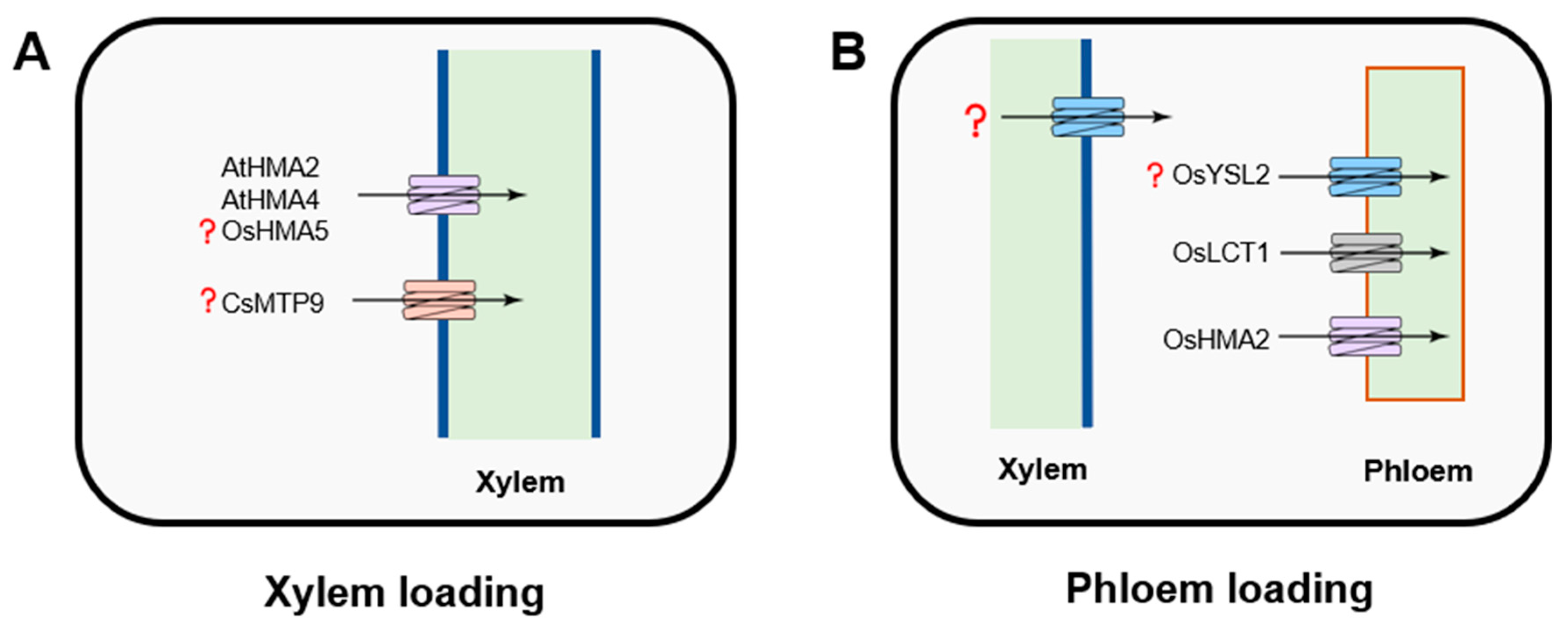 Plants 09 00223 g003