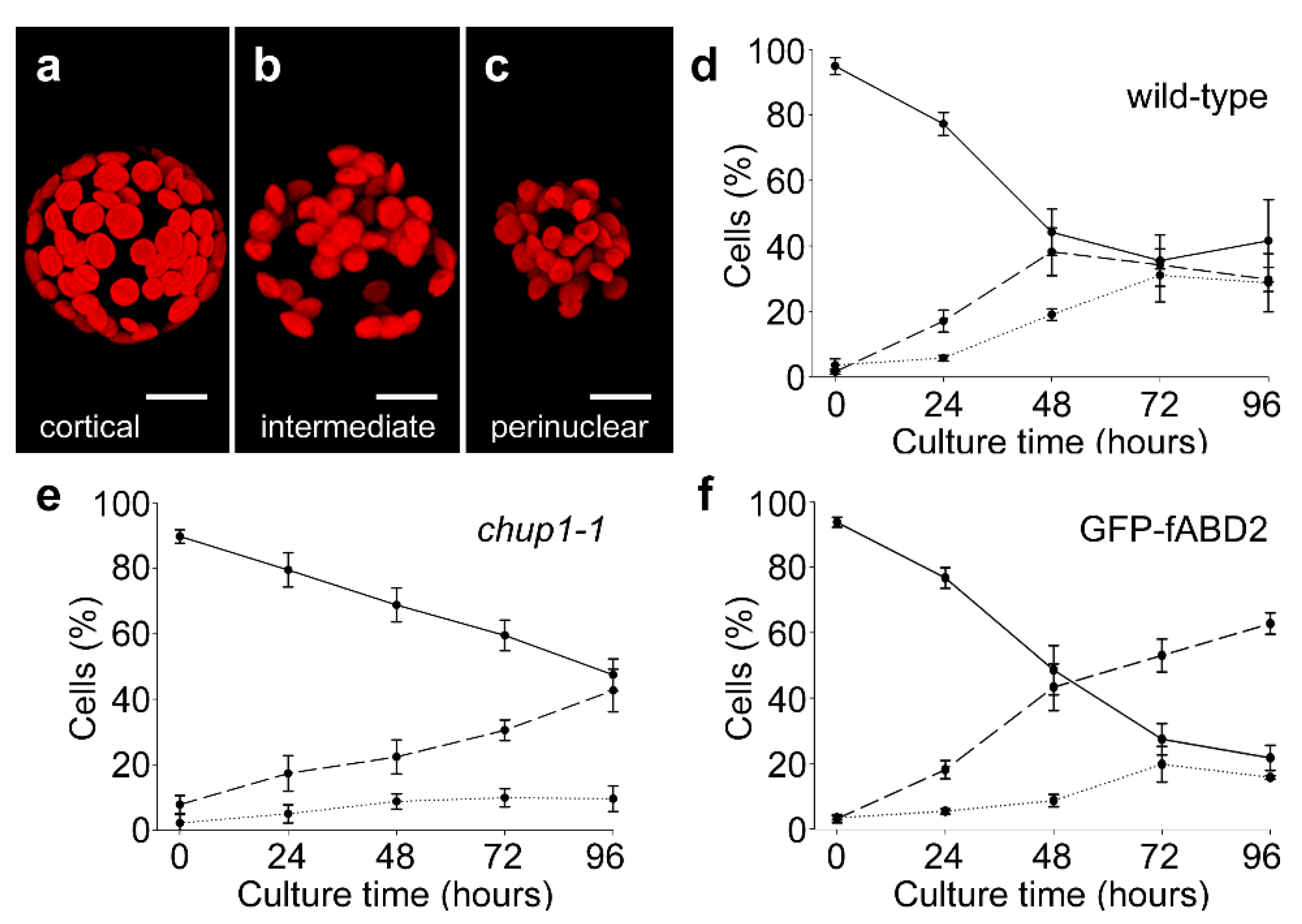 Plants 09 00225 g001