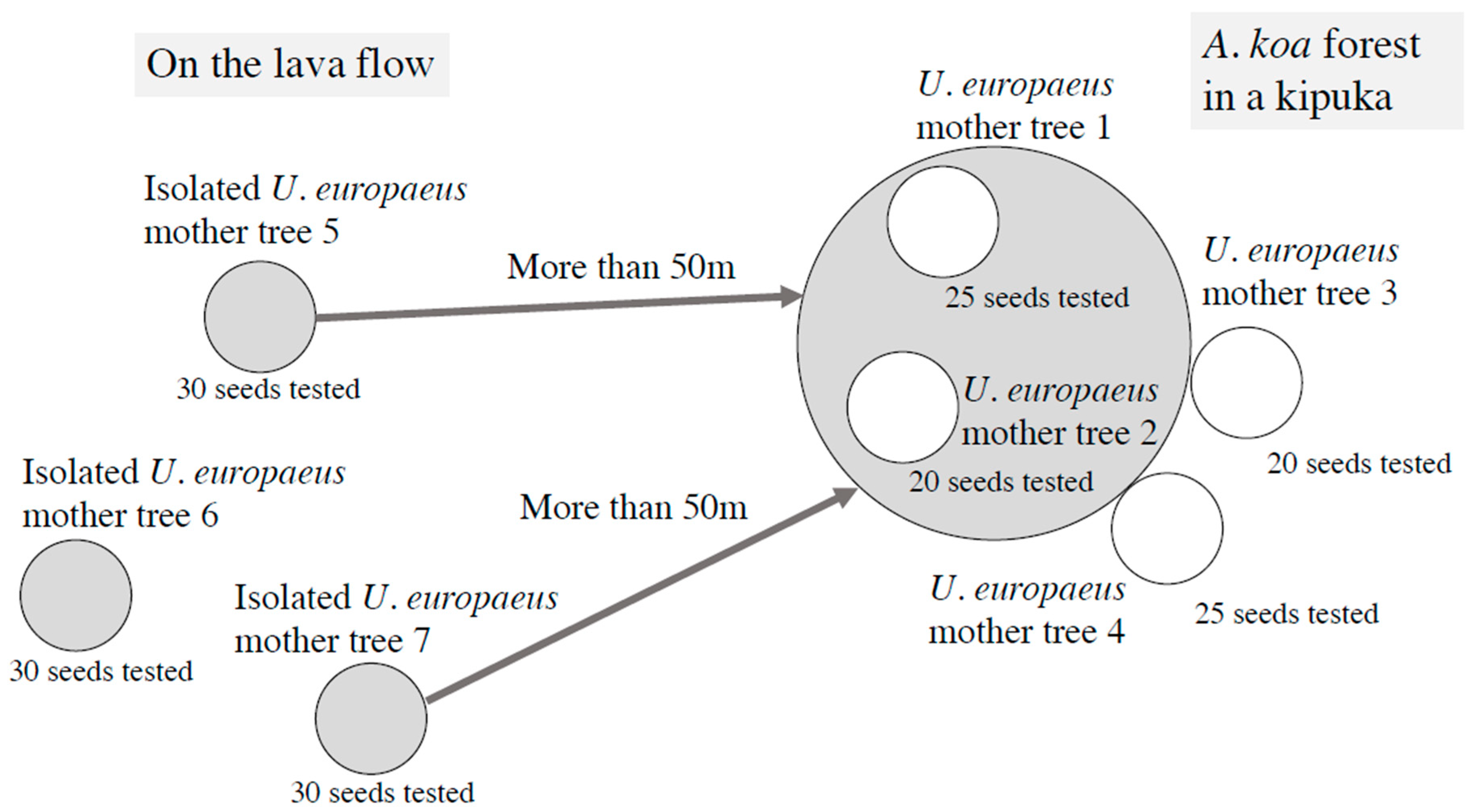 Plants 09 00226 g001 Plants 09 00226 g001