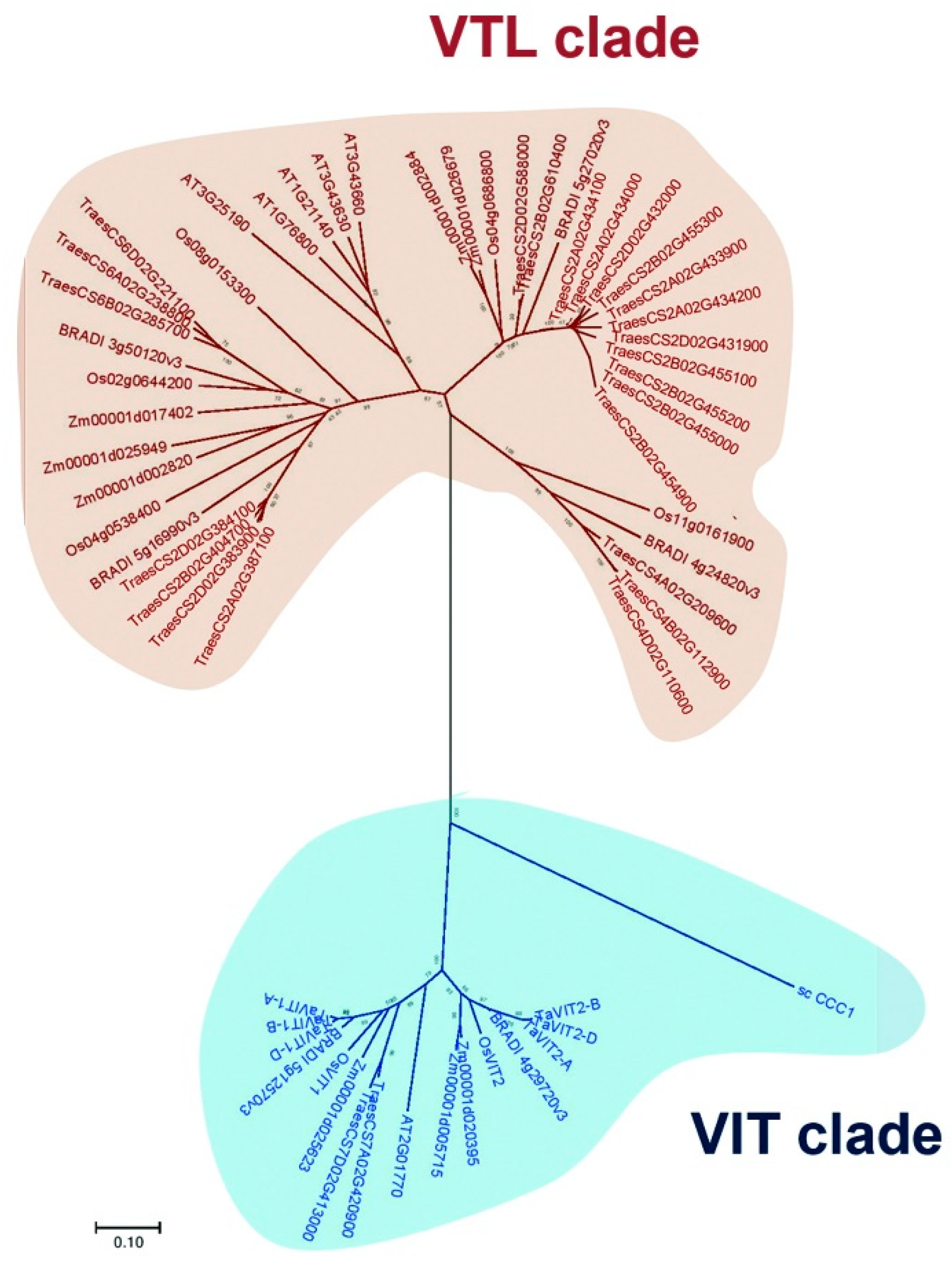 Plants 09 00229 g001