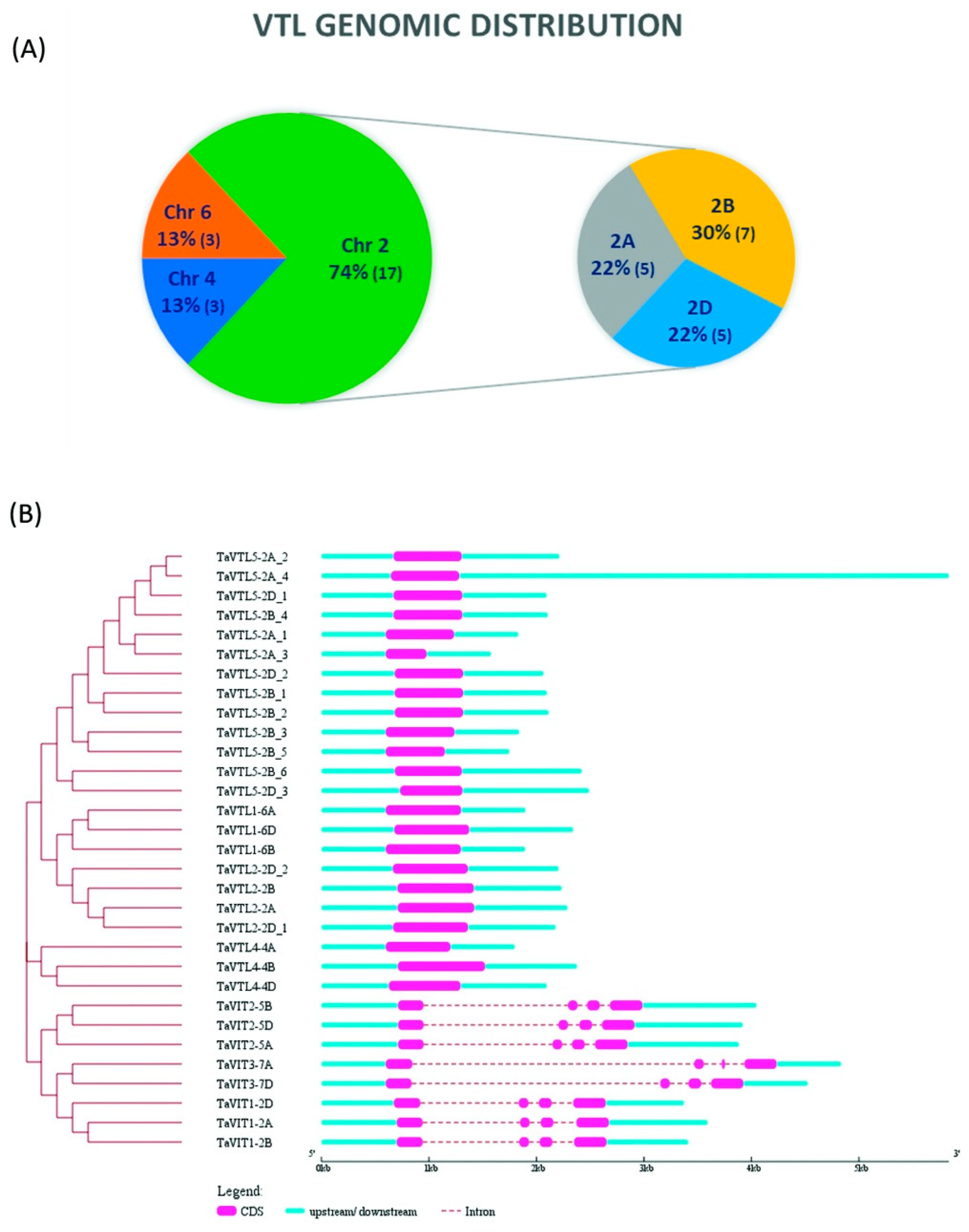 Plants 09 00229 g002