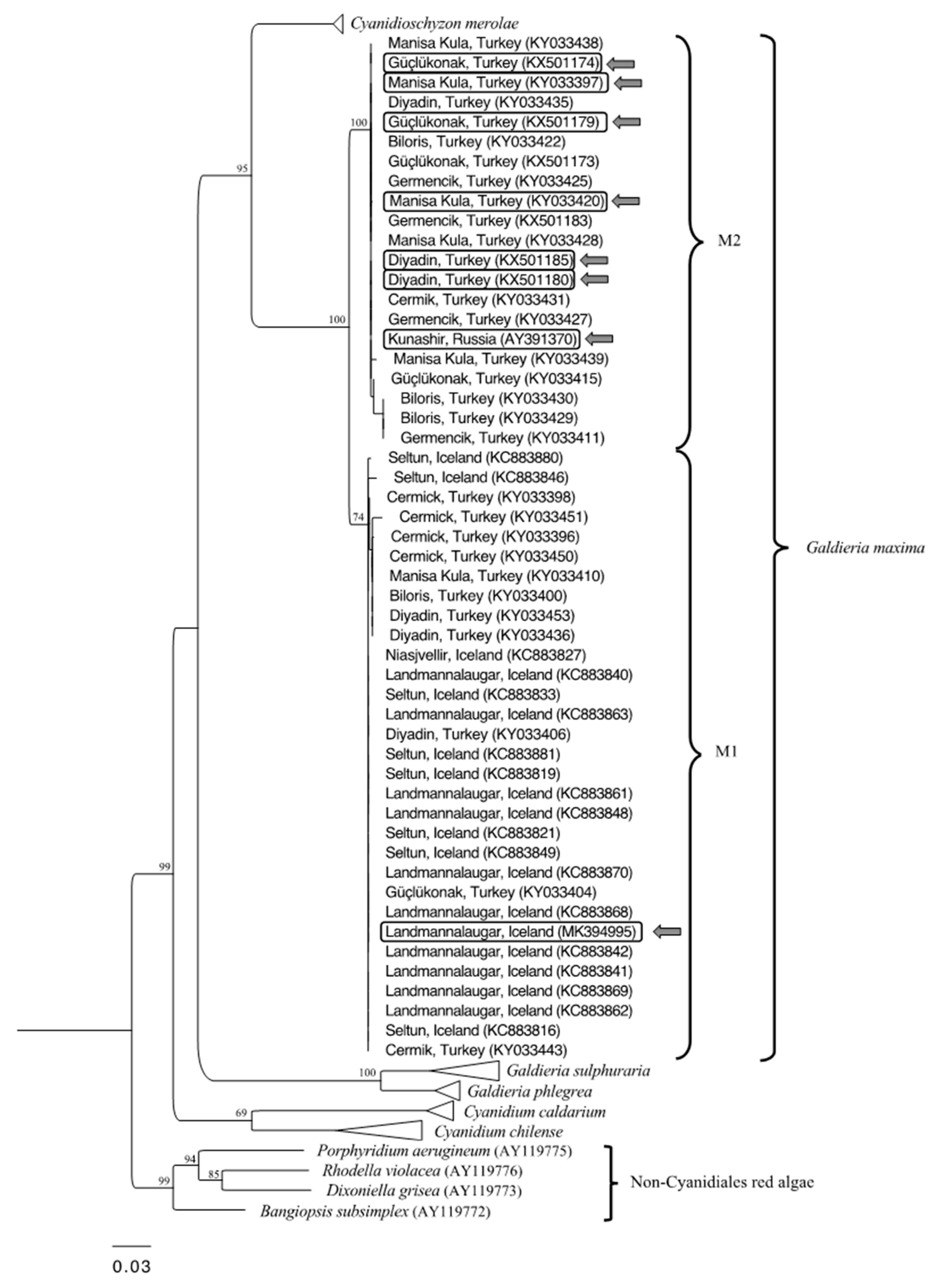 Plants 09 00232 g001