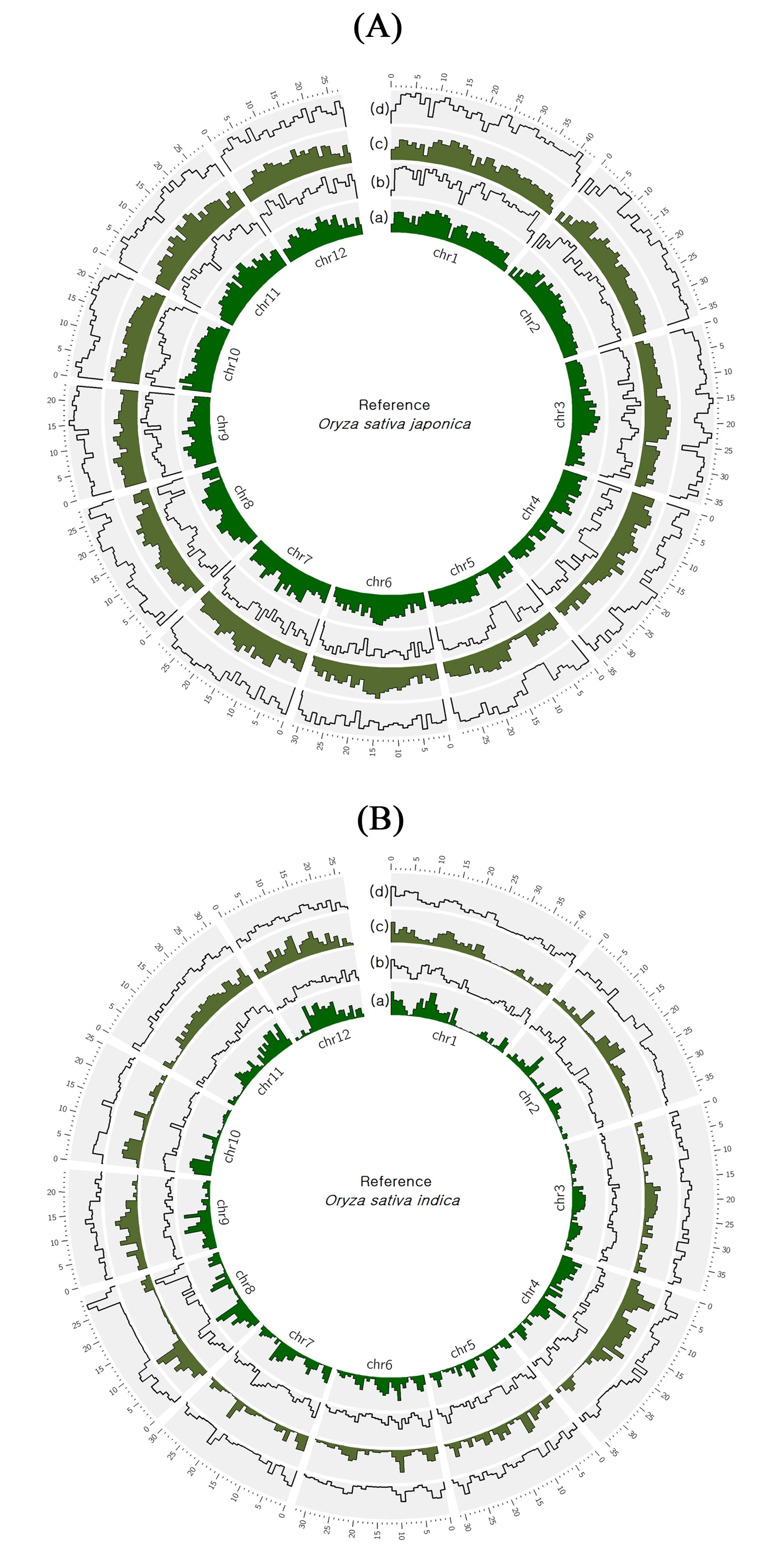 Plants 09 00233 g001