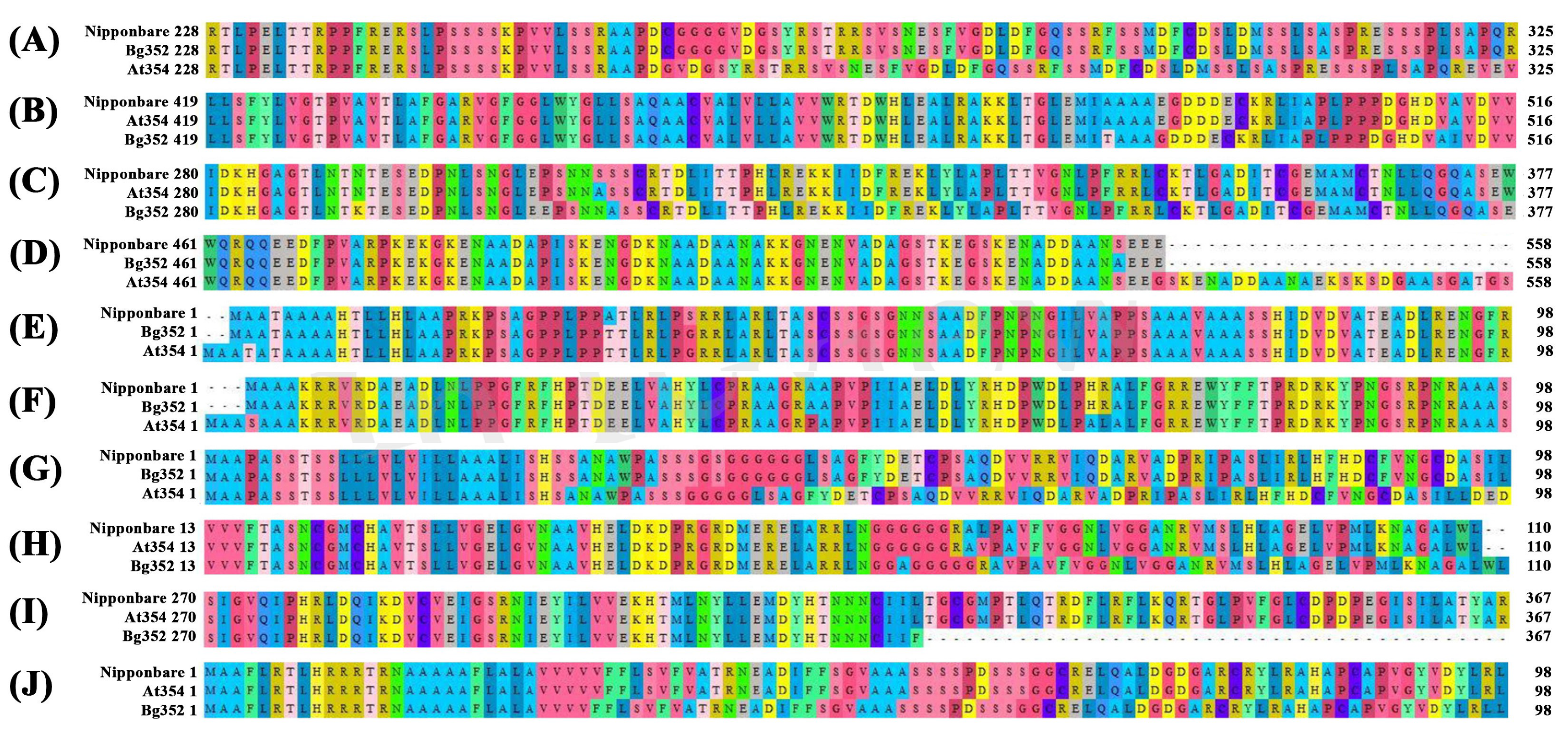 Plants 09 00233 g003