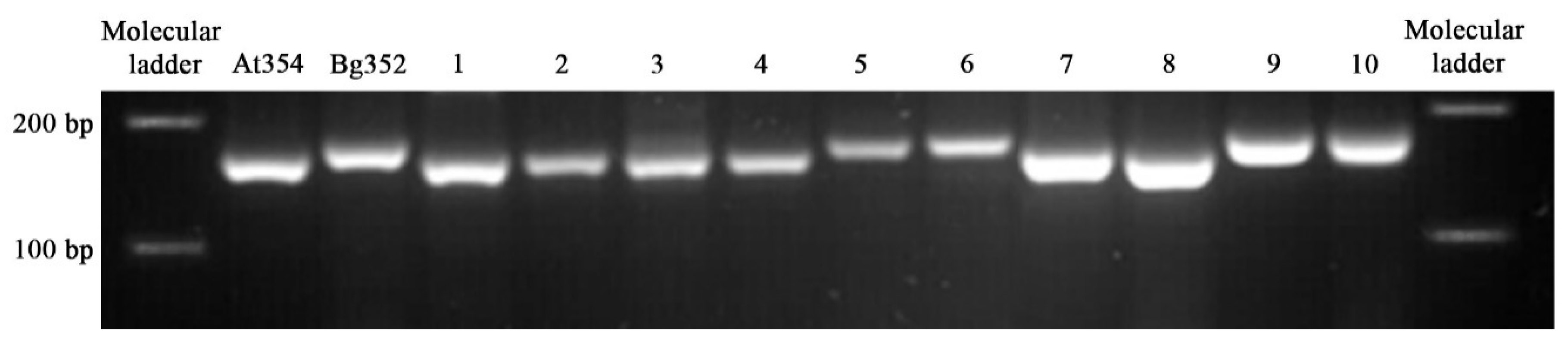 Plants 09 00233 g005