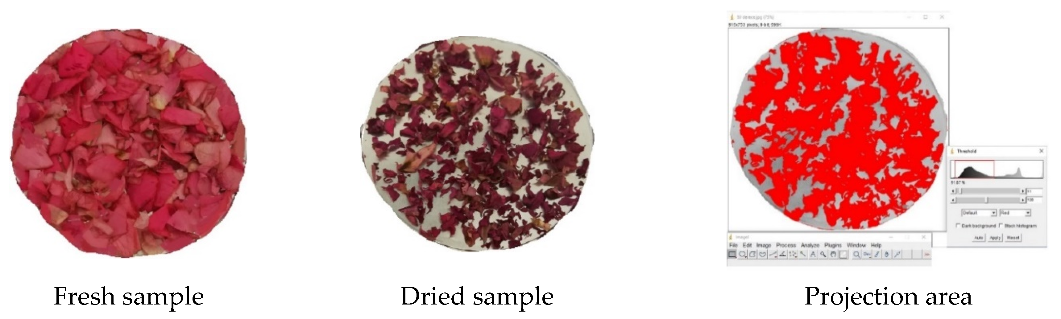 Plants 09 00236 g005