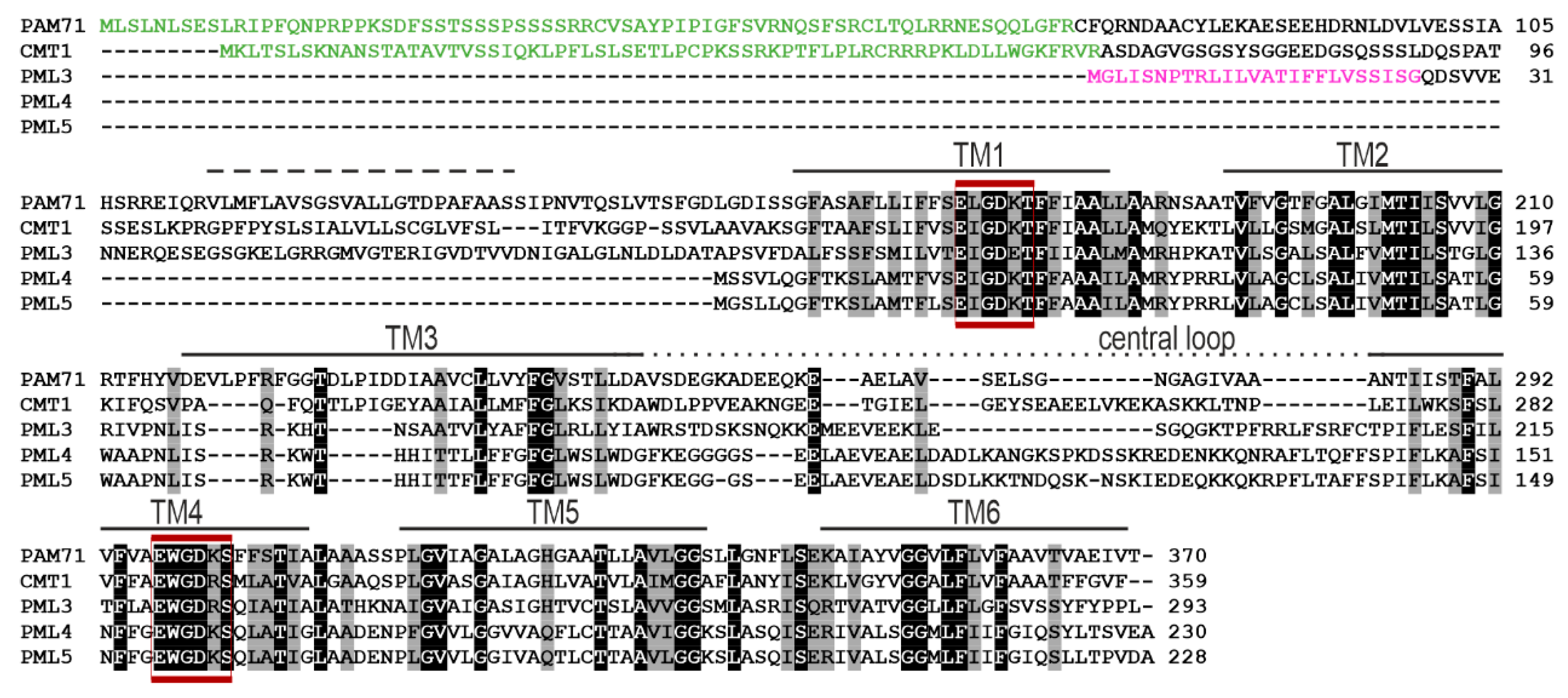 Plants 09 00239 g001
