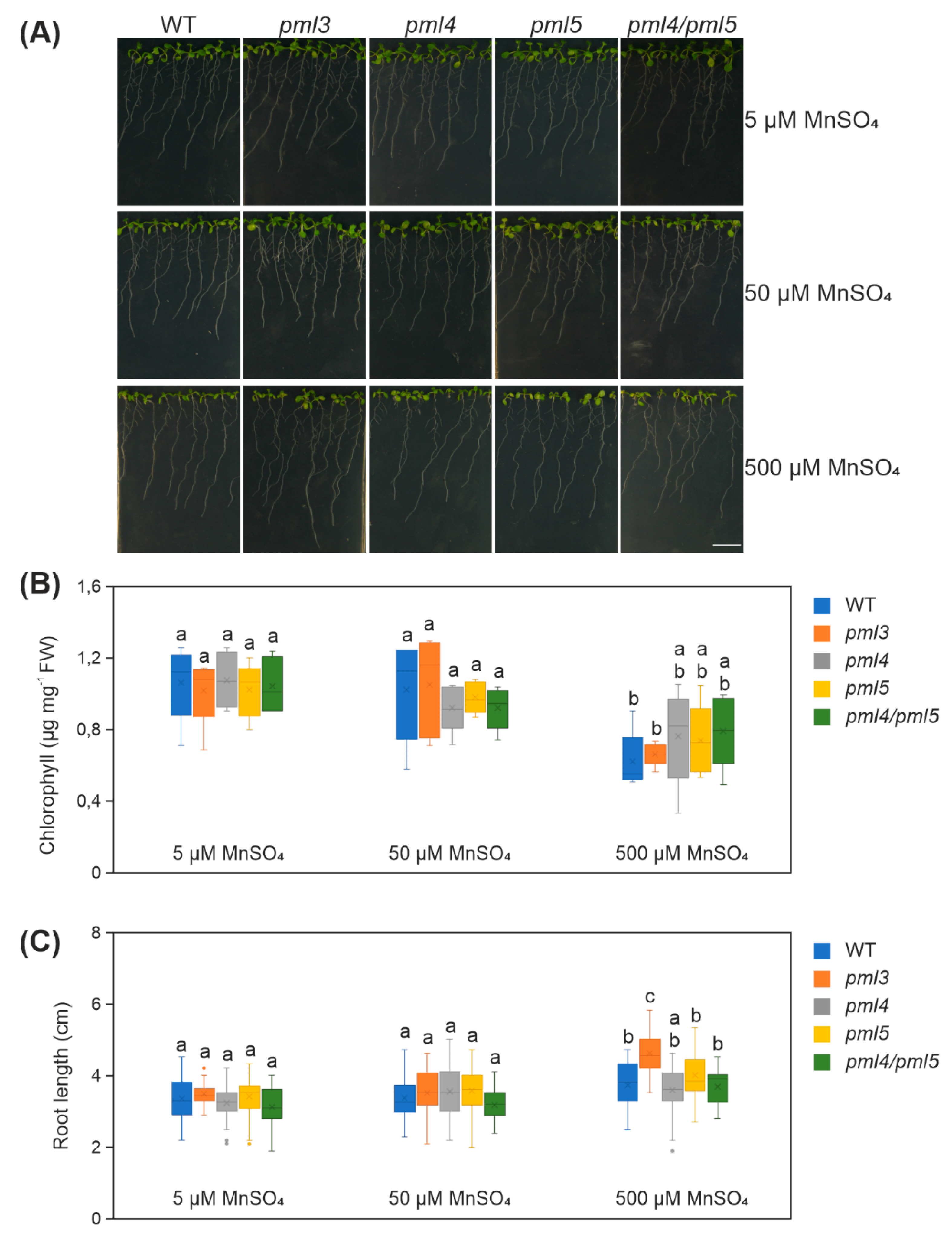 Plants 09 00239 g005