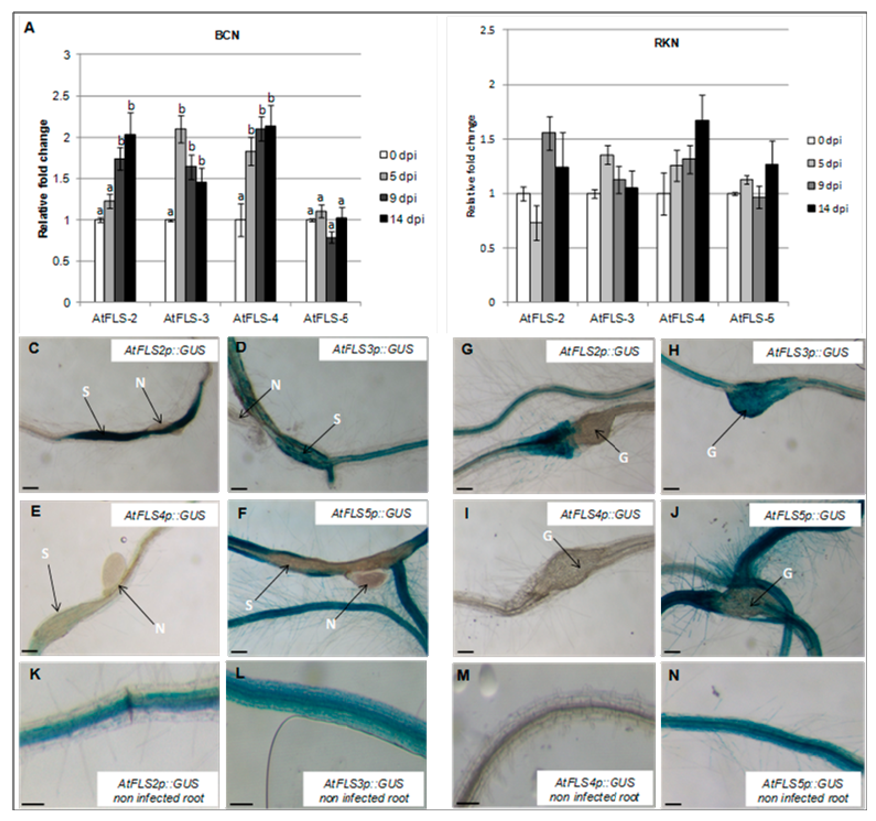 Plants 09 00253 g004