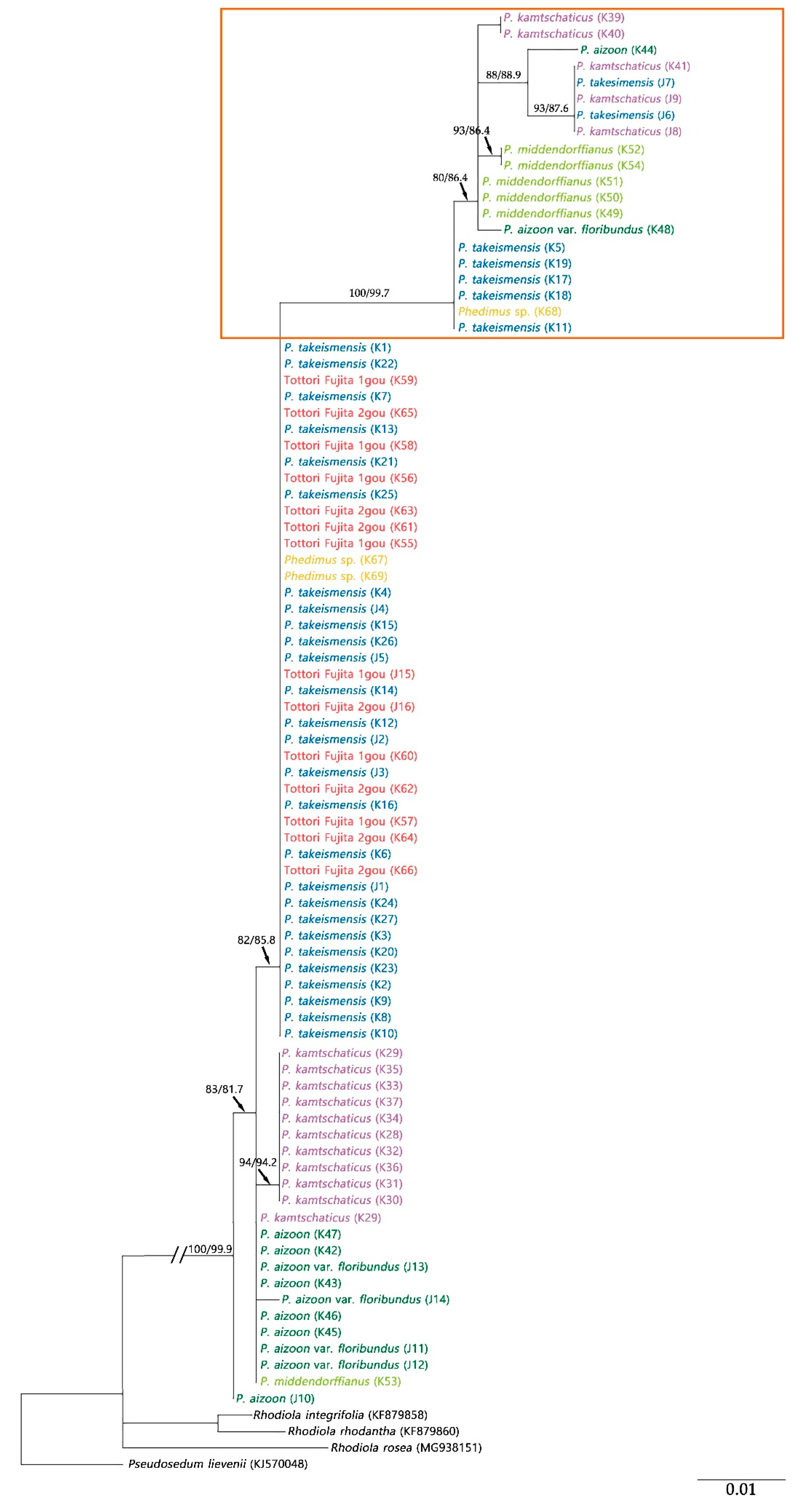 Plants 09 00254 g004