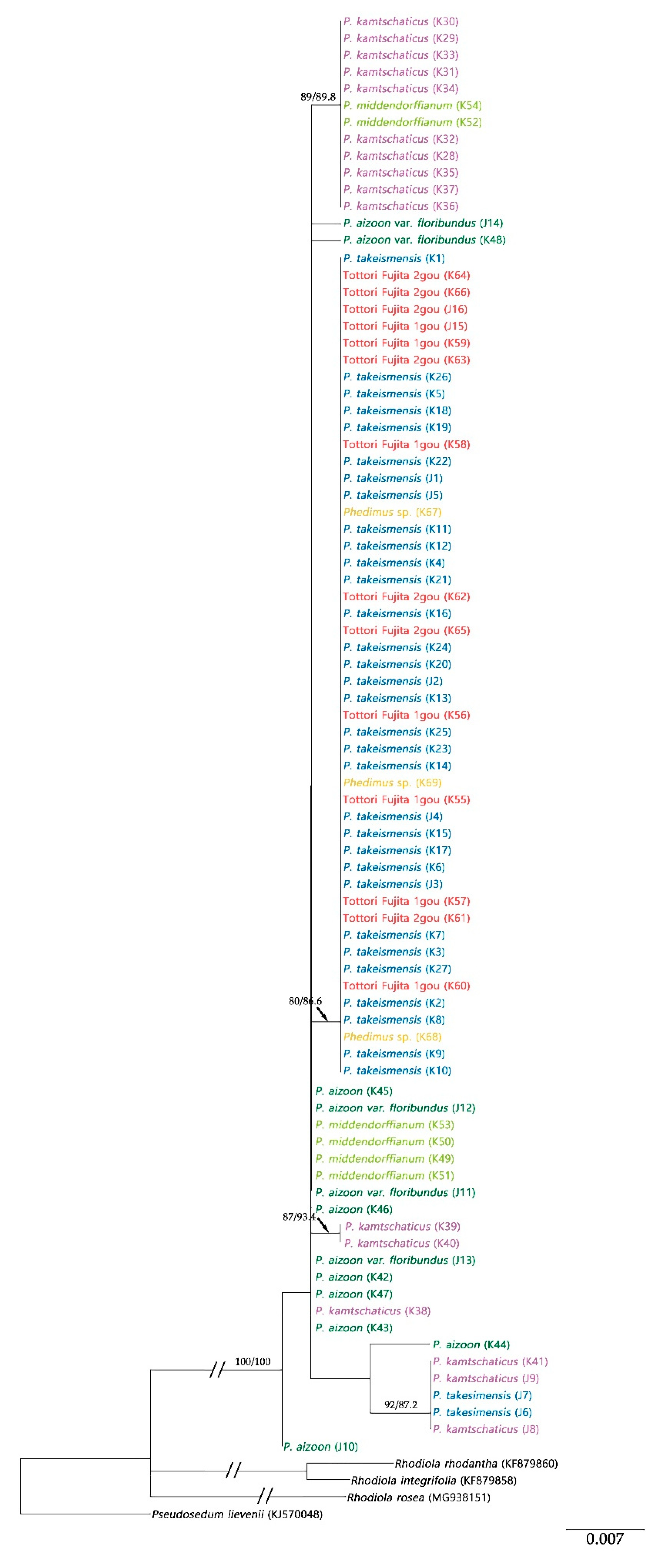 Plants 09 00254 g005