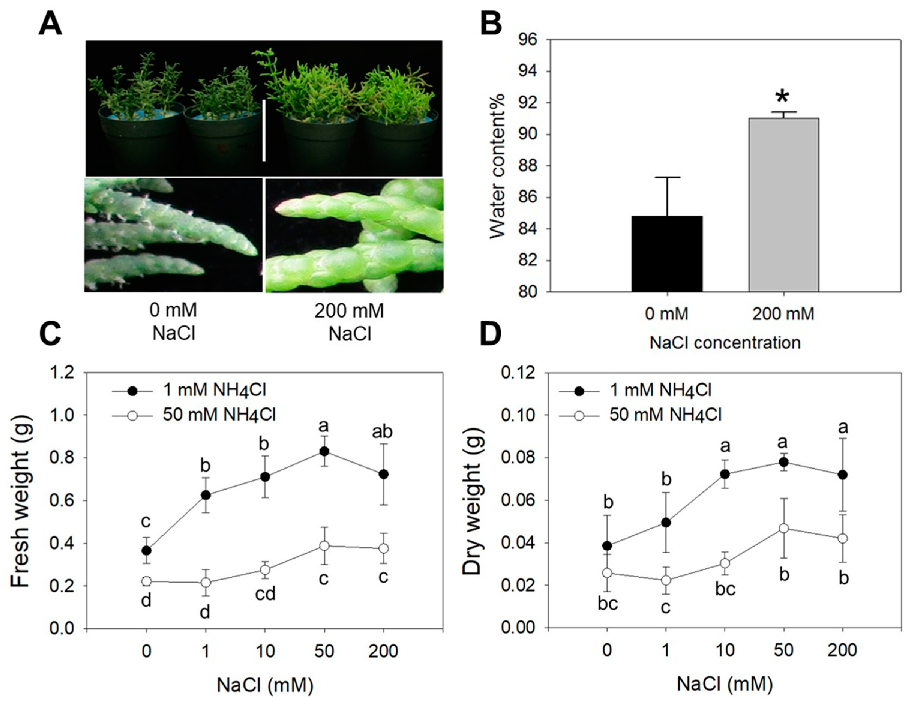 Plants 09 00257 g001