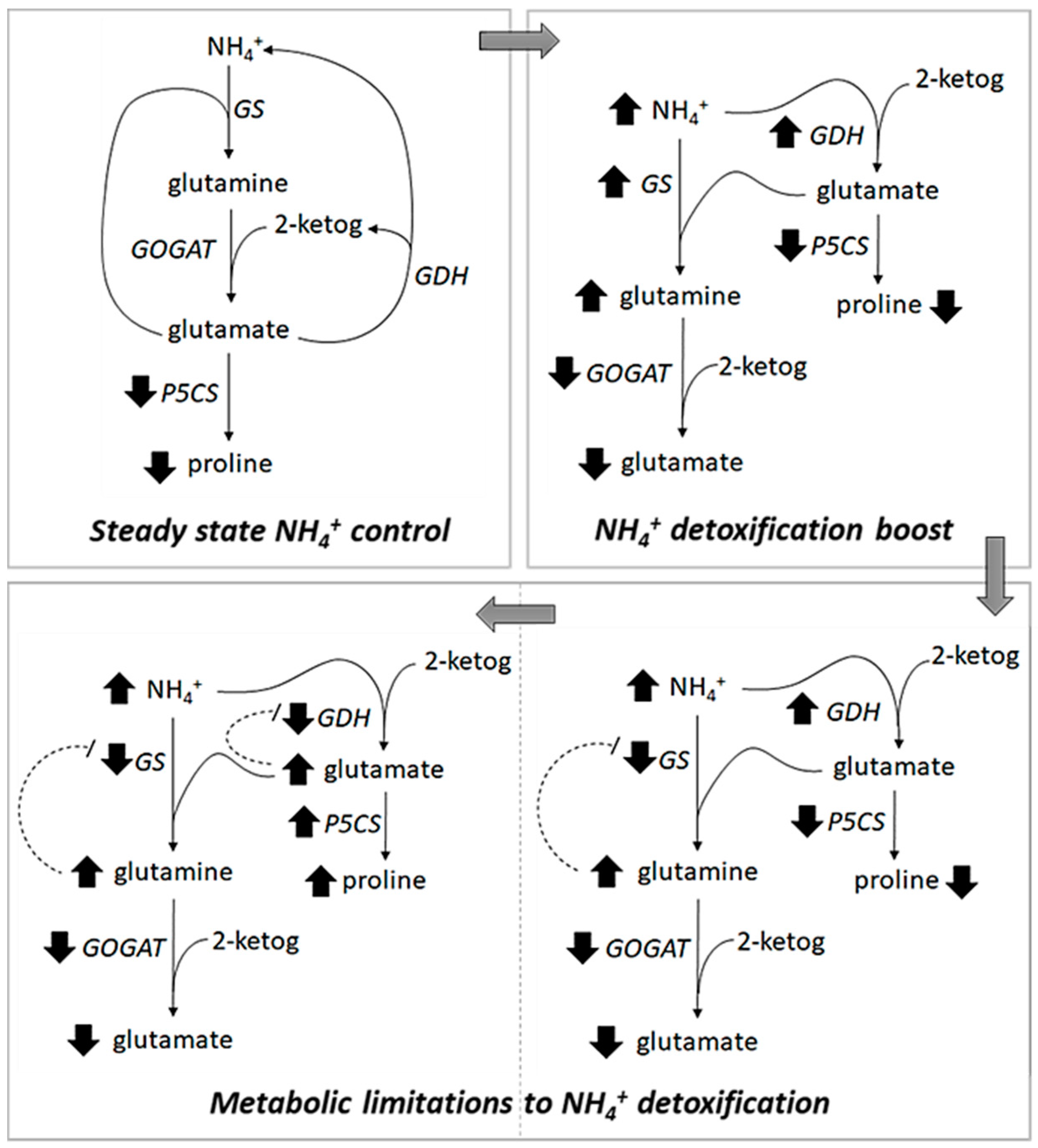 Plants 09 00257 g006