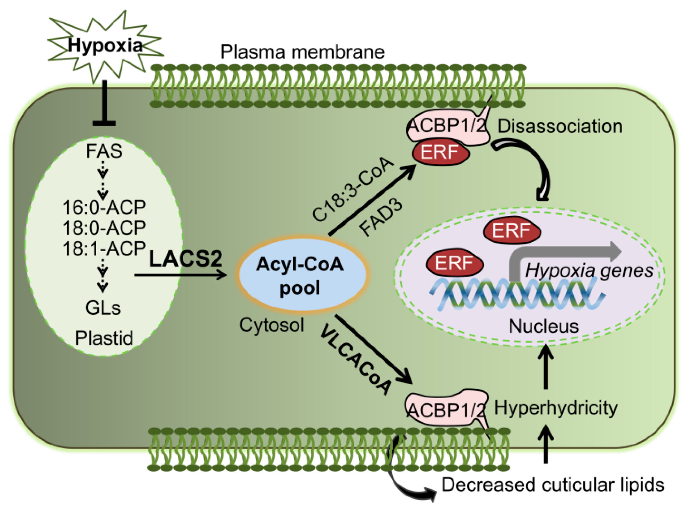 Plants 09 00262 g006